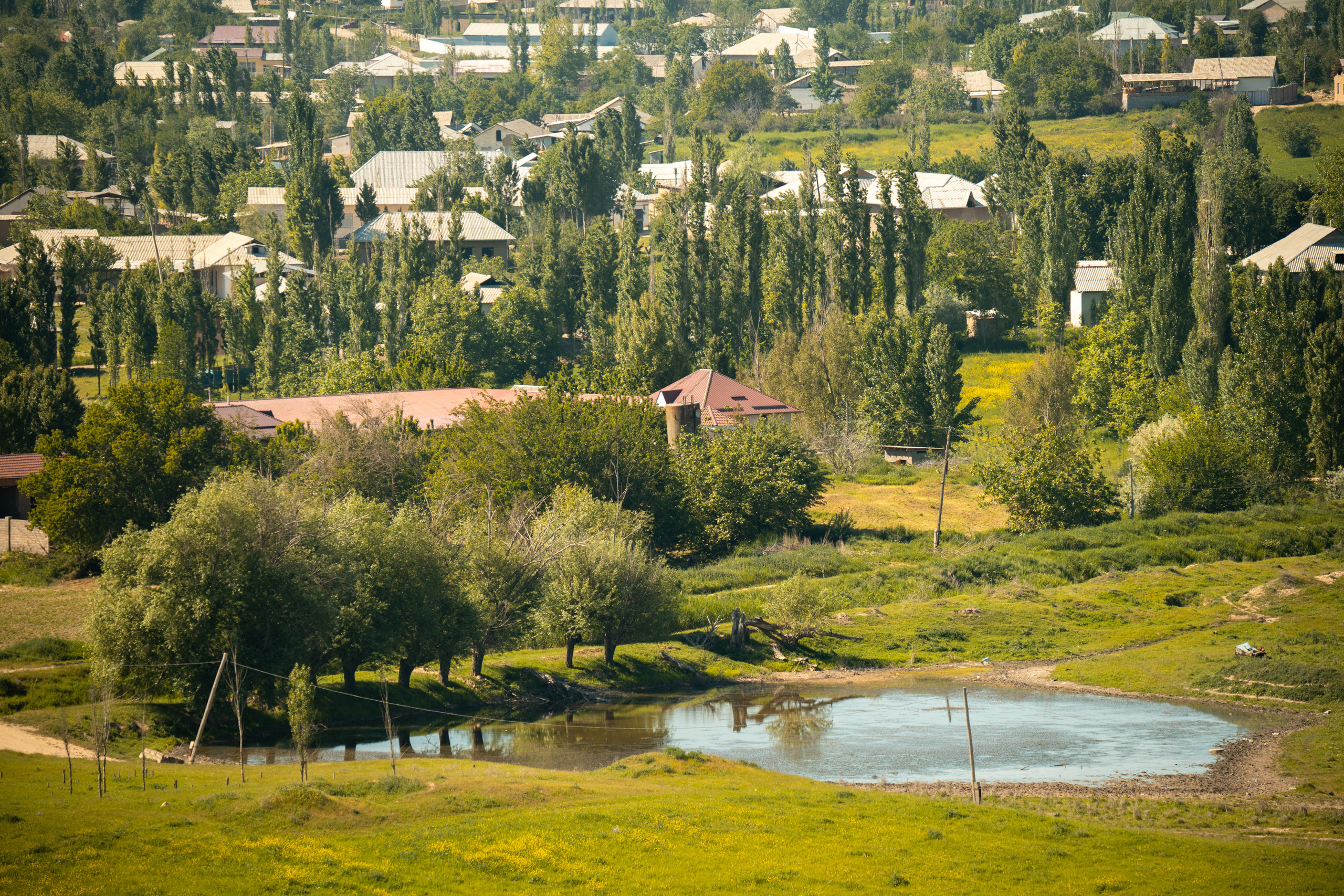 SIGMA 60-600mm — обзор. Фотограф Григорий Кравец