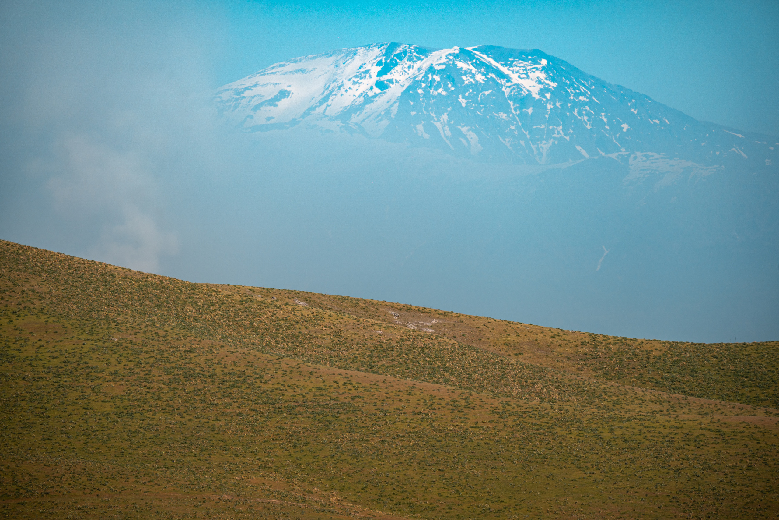 SIGMA 60-600mm — обзор. Фотограф Григорий Кравец