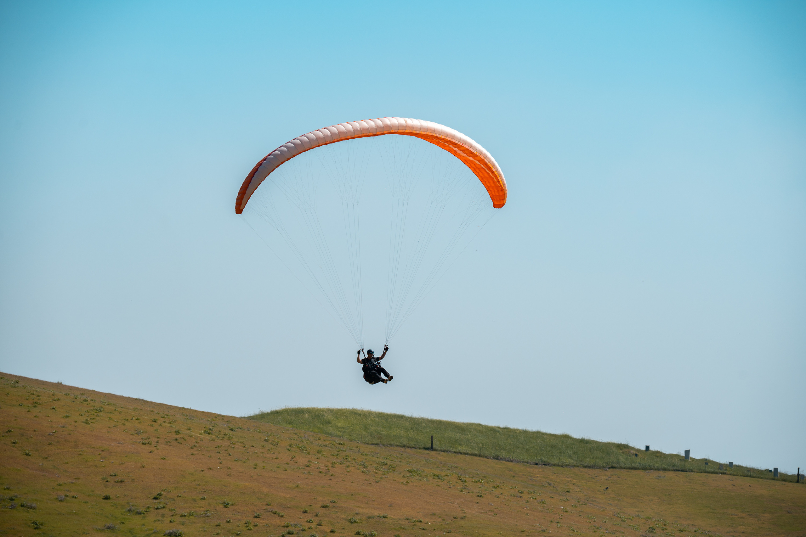 SIGMA 60-600mm — обзор. Фотограф Григорий Кравец