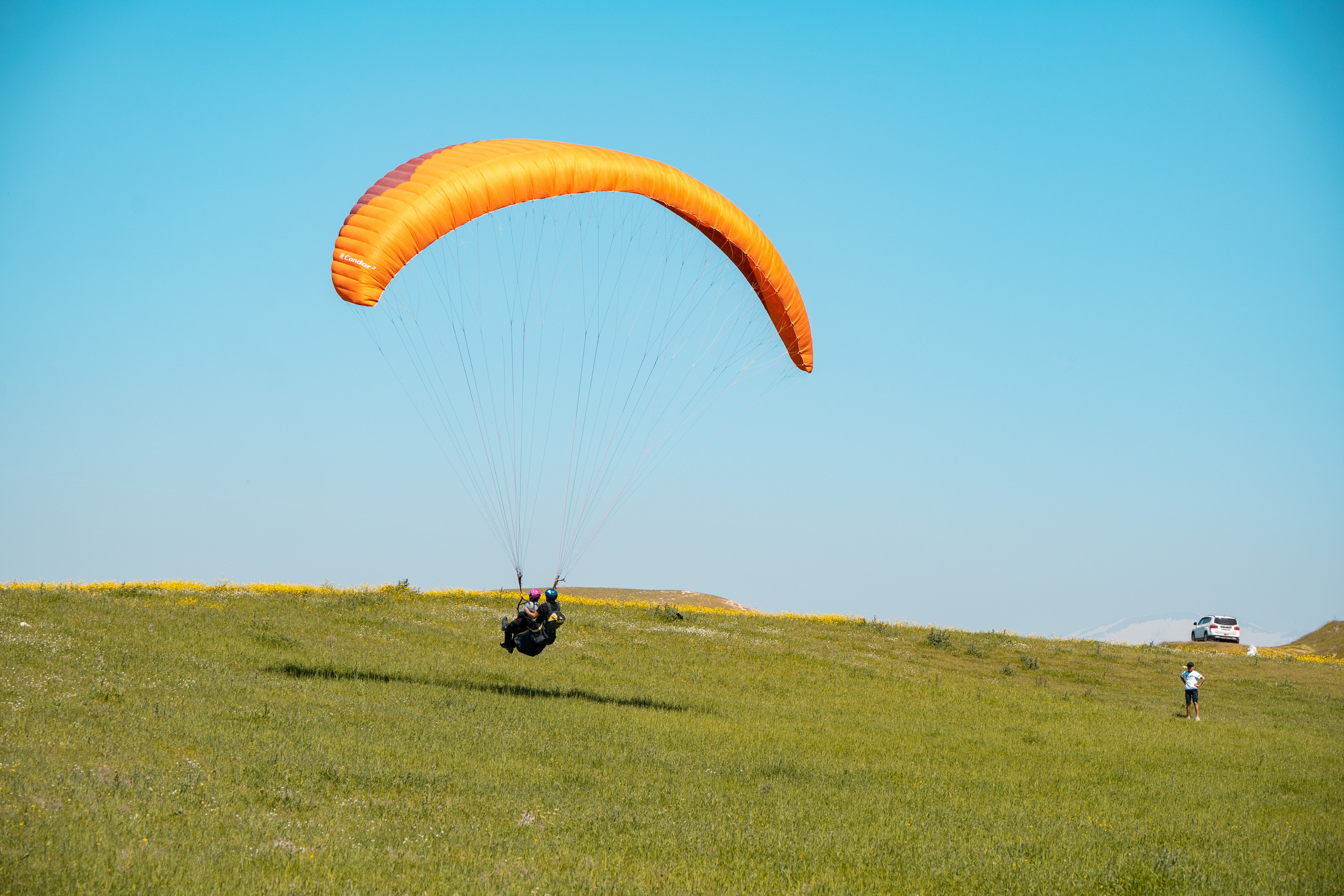 SIGMA 60-600mm — обзор. Фотограф Григорий Кравец