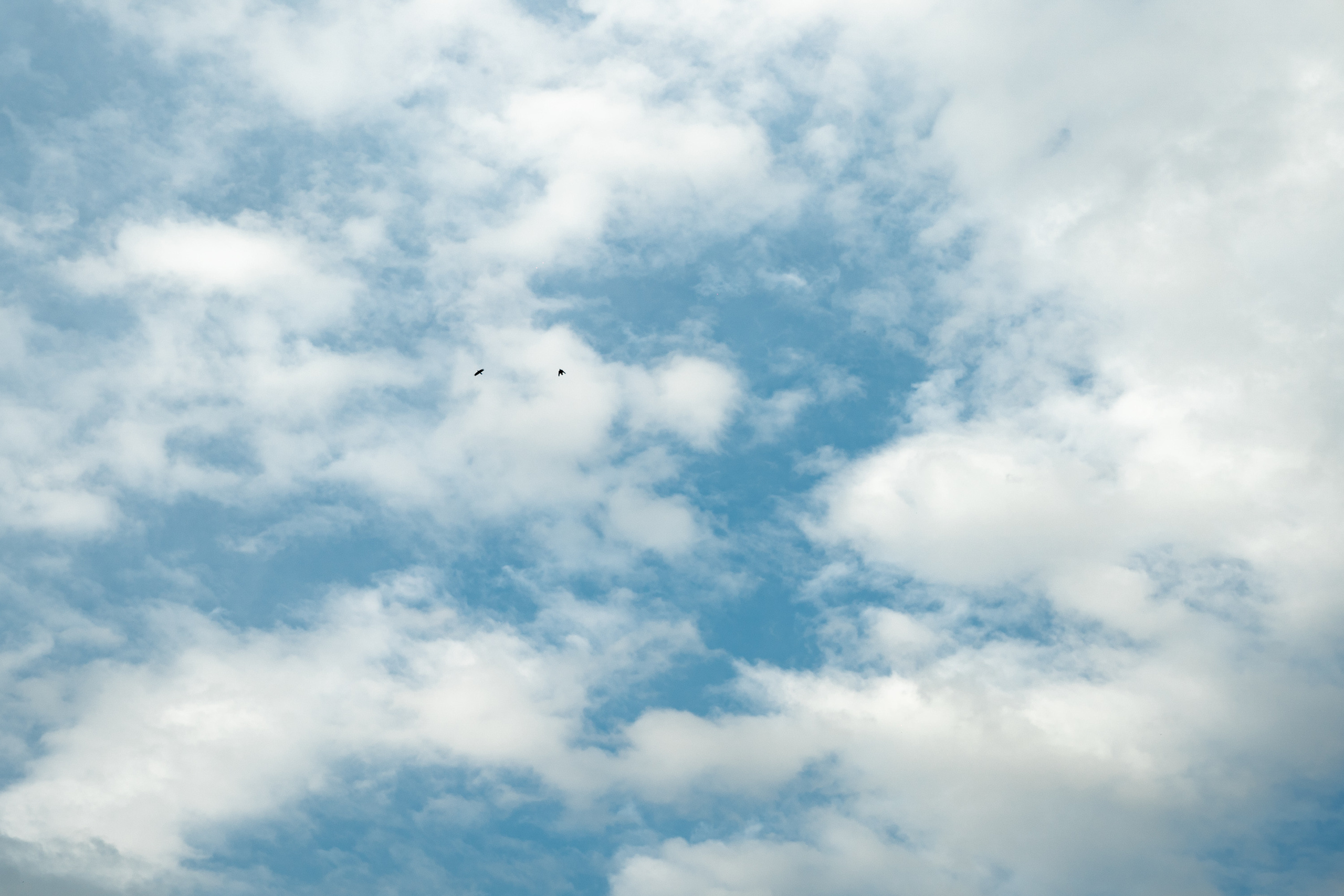 Sigma 50 mm F/1.4 DG DN Art. Фотограф Григорий Кравец