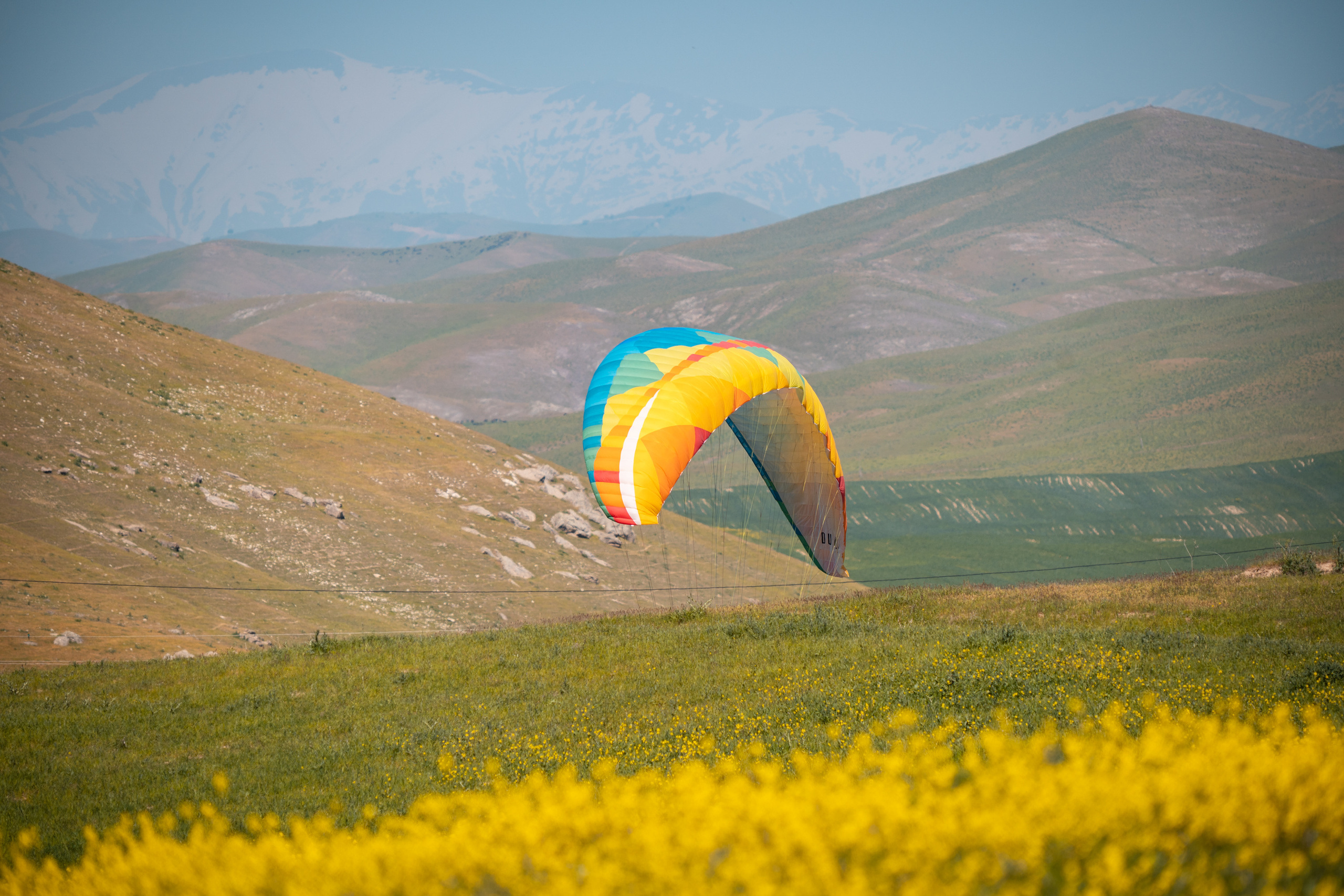 SIGMA 60-600mm — обзор. Фотограф Григорий Кравец