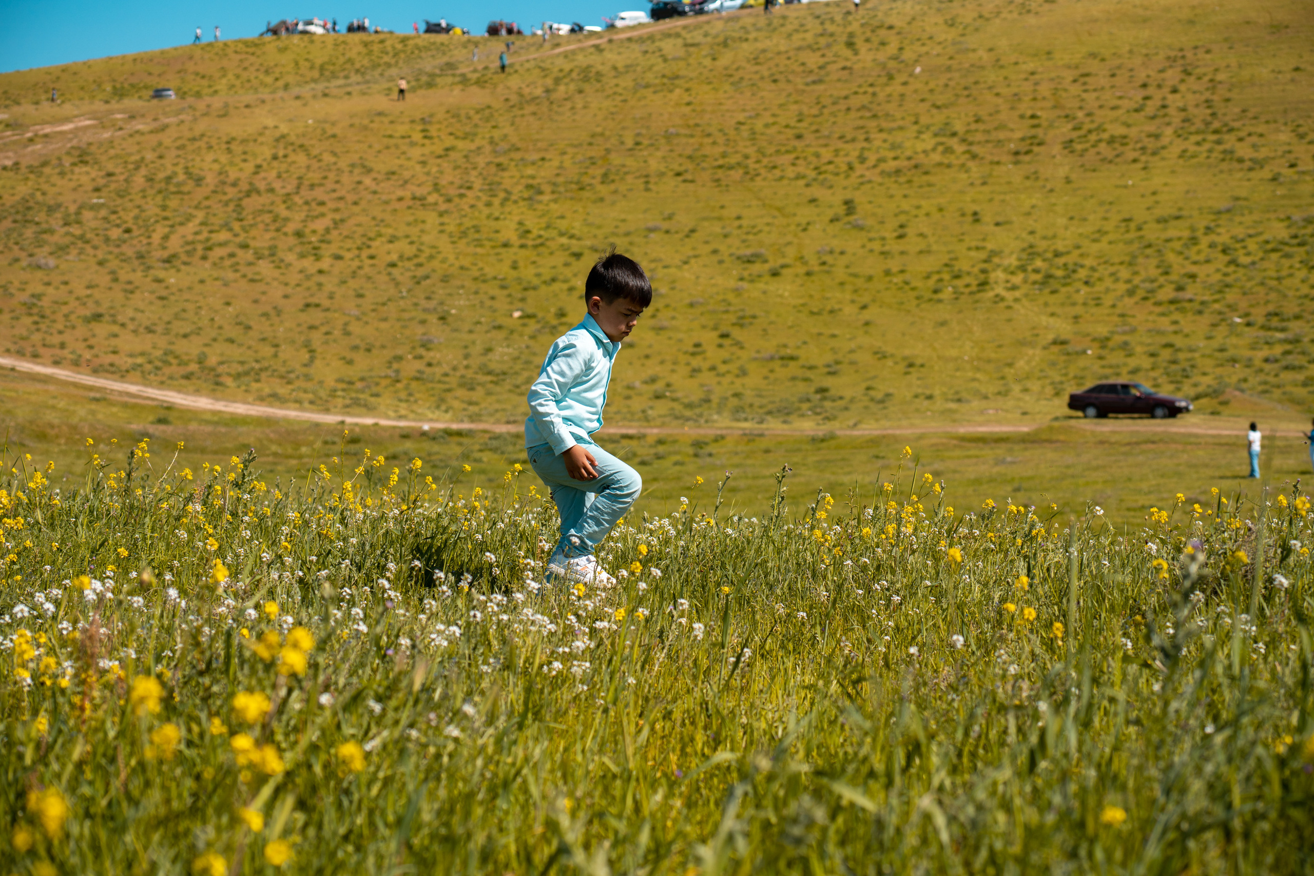 SIGMA 60-600mm — обзор. Фотограф Григорий Кравец