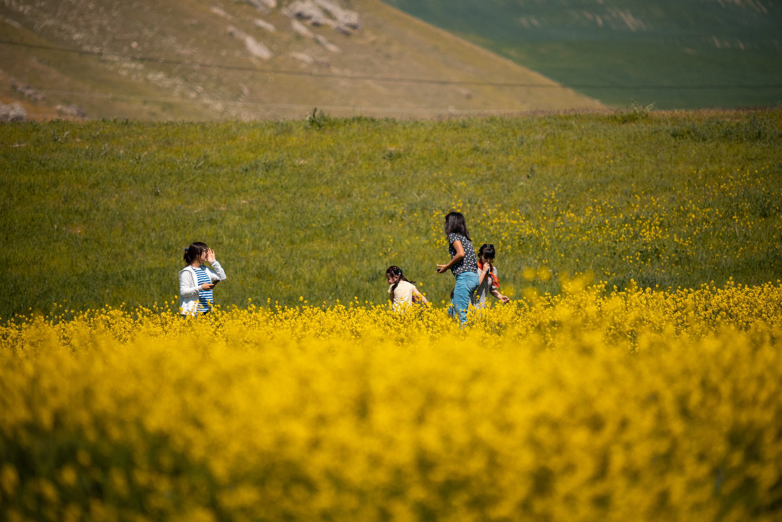 SIGMA 60-600mm — обзор. Фотограф Григорий Кравец