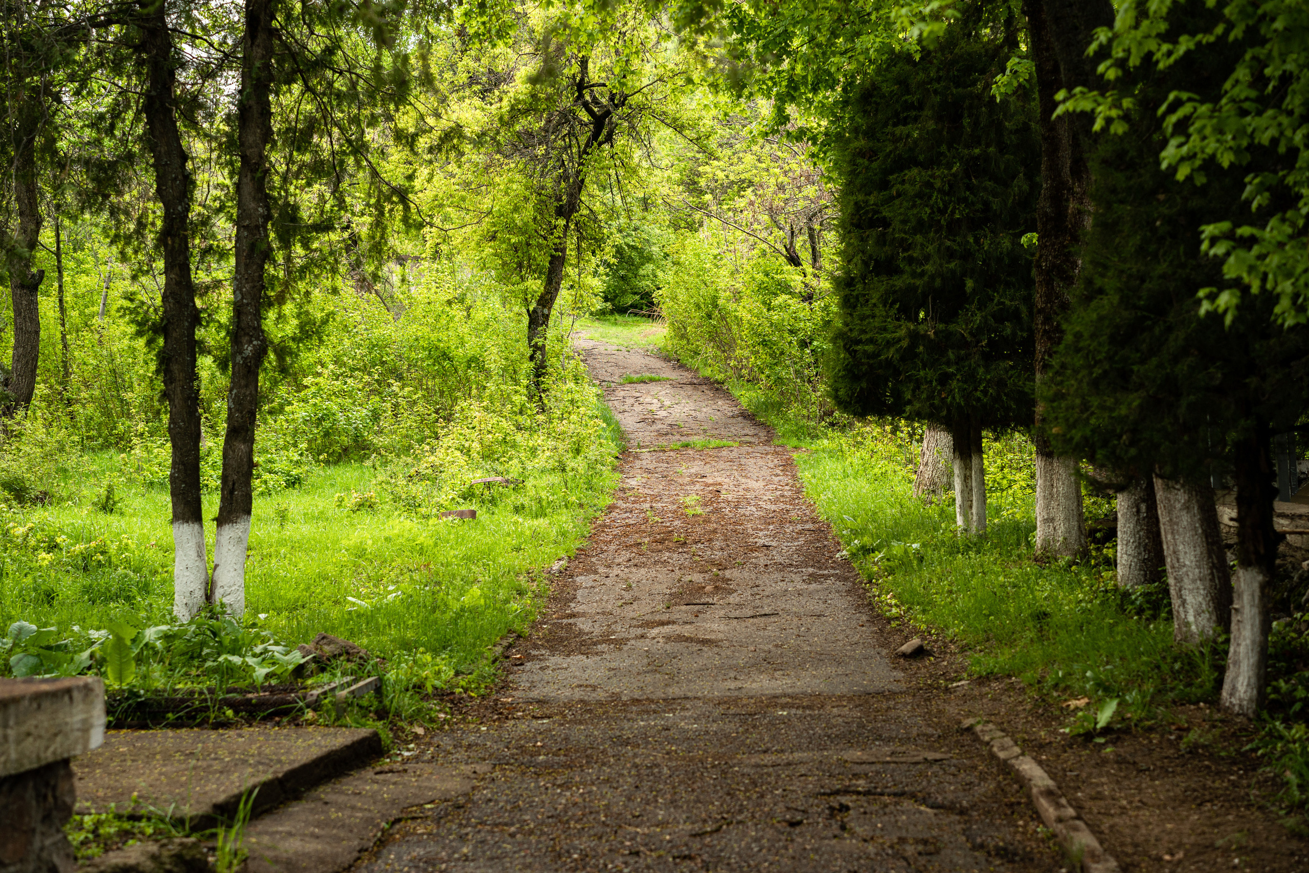 Sigma 50 mm F/1.4 DG DN Art. Фотограф Григорий Кравец