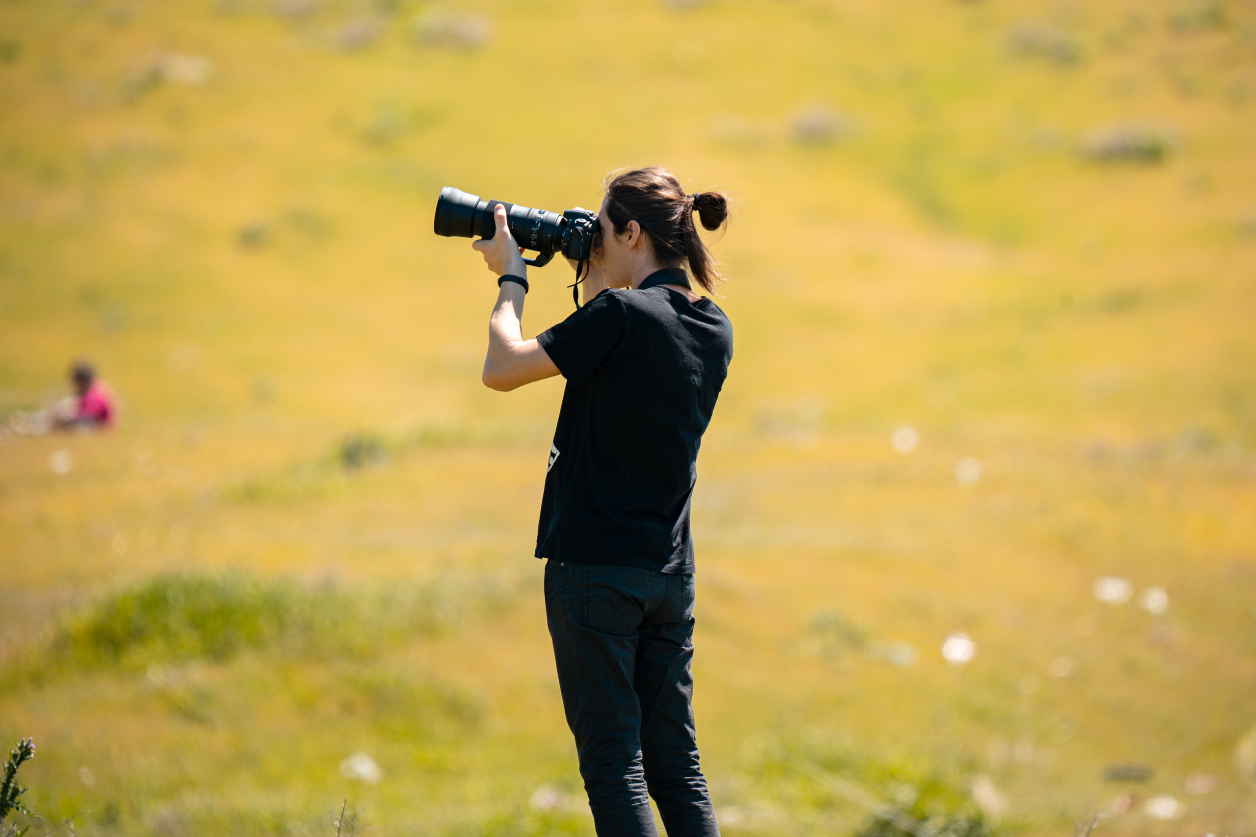 SIGMA 60-600mm — обзор. Фотограф Григорий Кравец