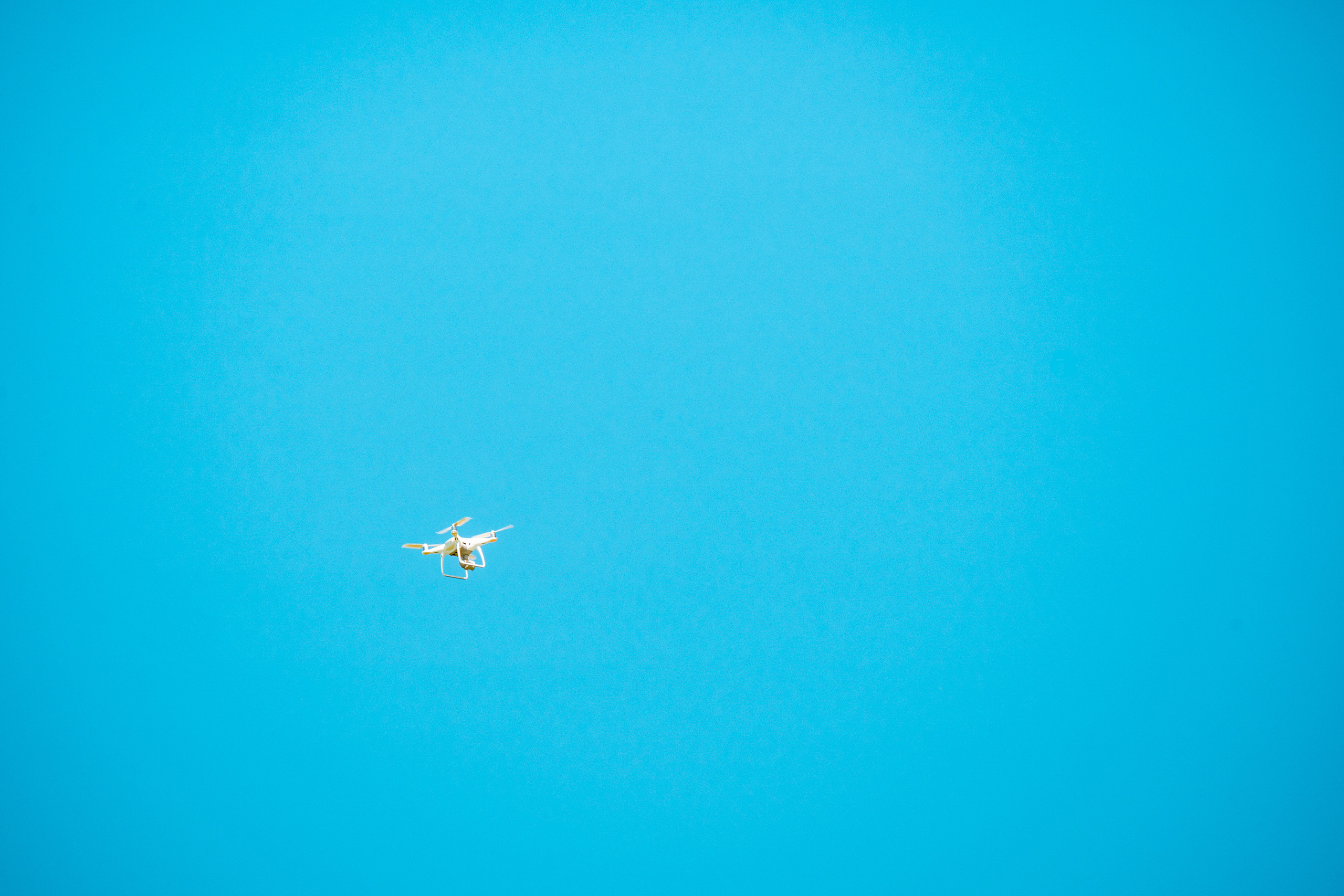 SIGMA 60-600mm — обзор. Фотограф Григорий Кравец