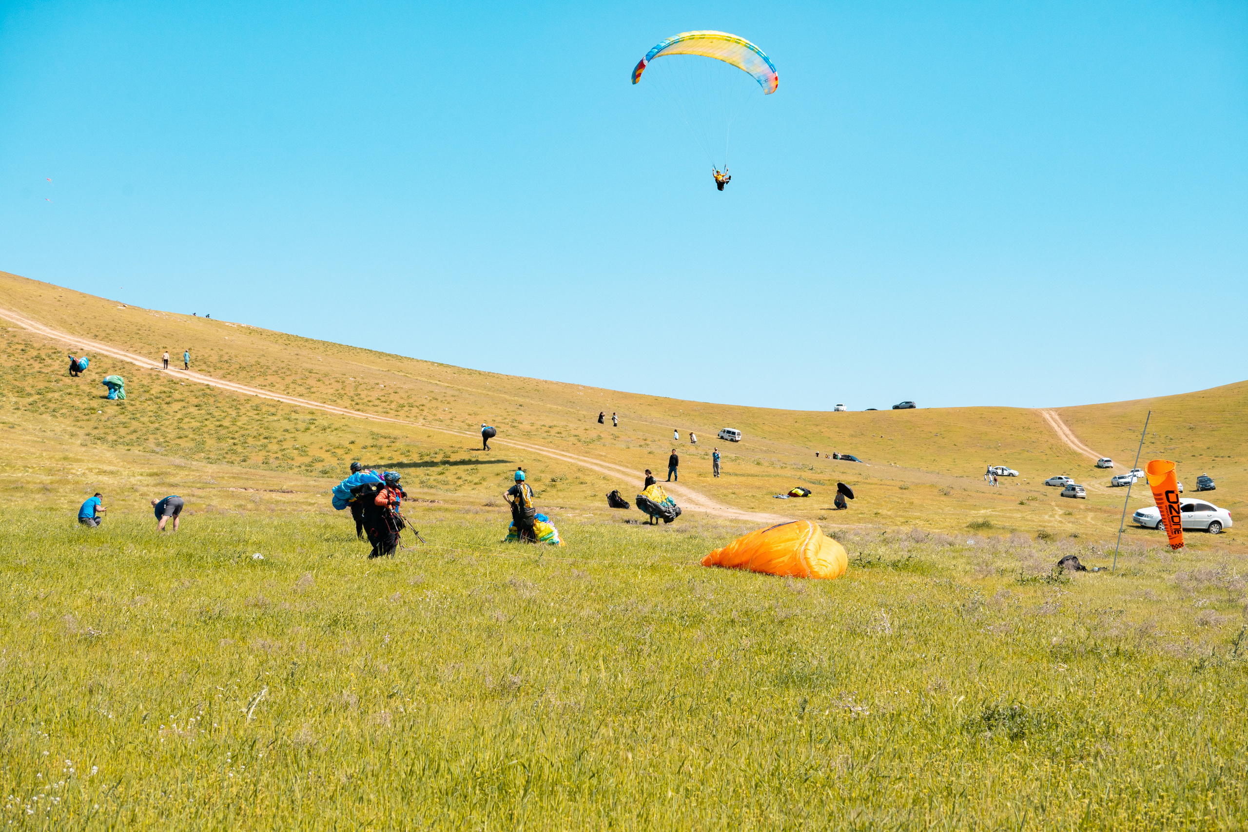 SIGMA 60-600mm — обзор. Фотограф Григорий Кравец