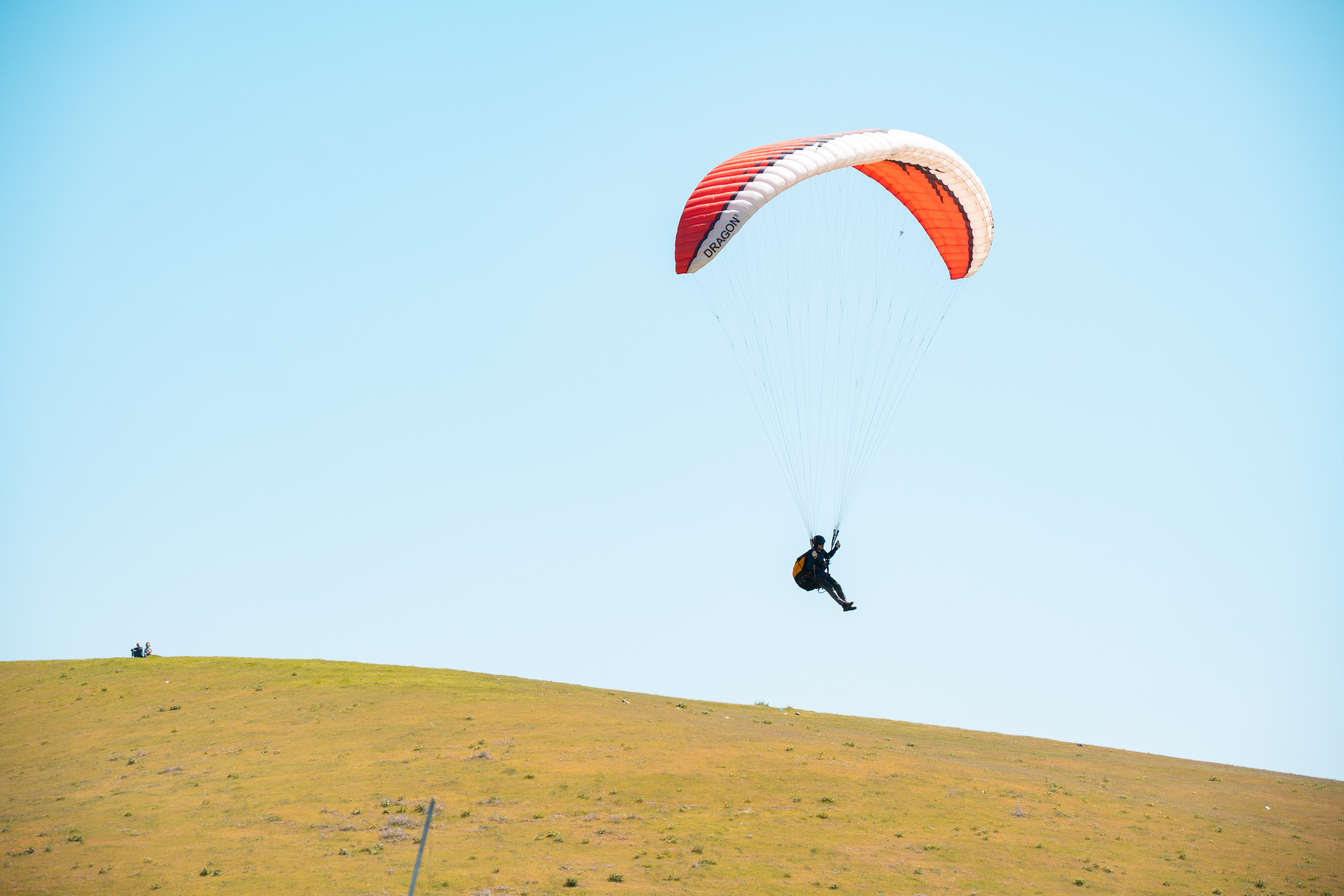 SIGMA 60-600mm — обзор. Фотограф Григорий Кравец