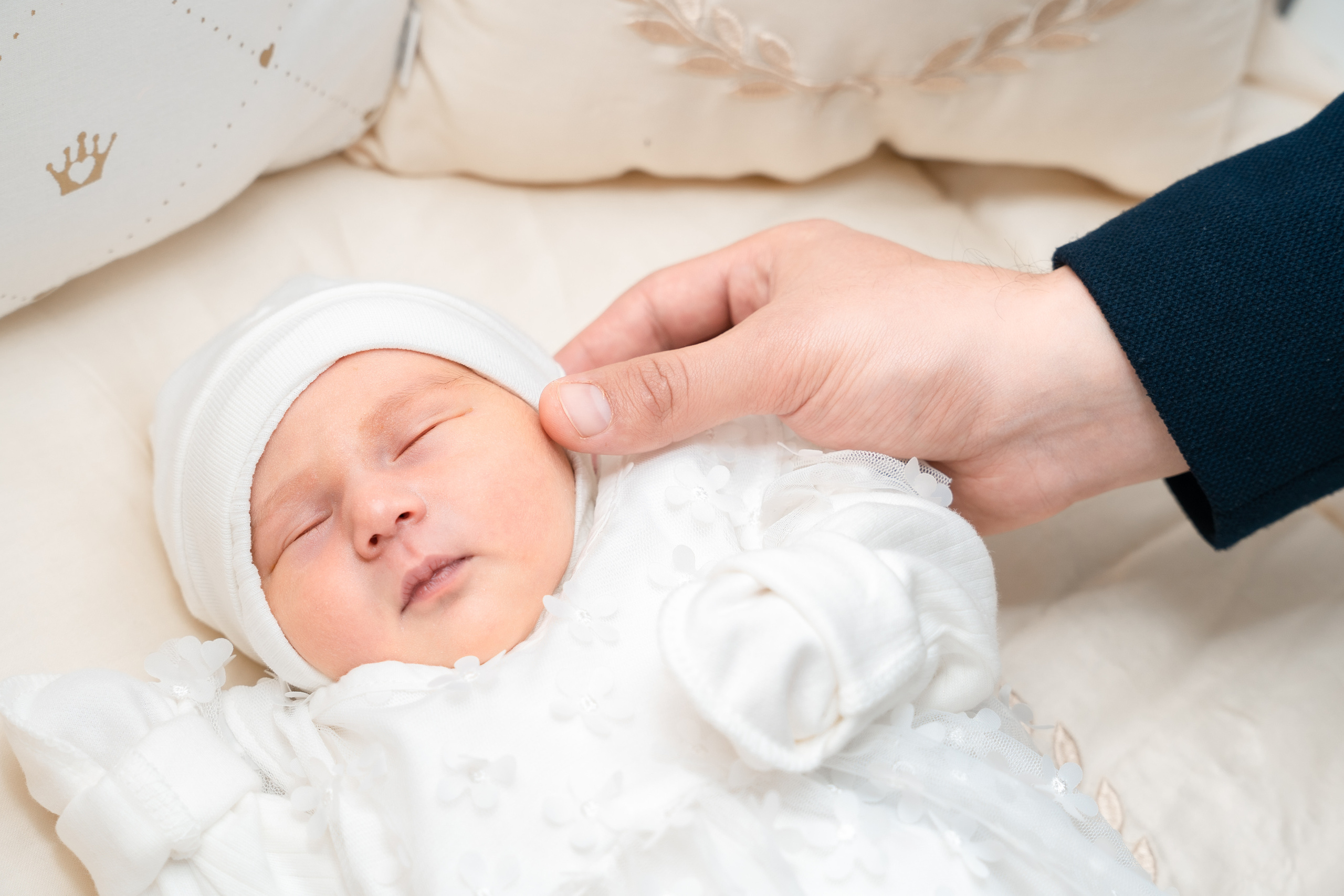 Sigma 24-70mm F2.8 DG DN Art (Sony E). Фотограф Григорий Кравец