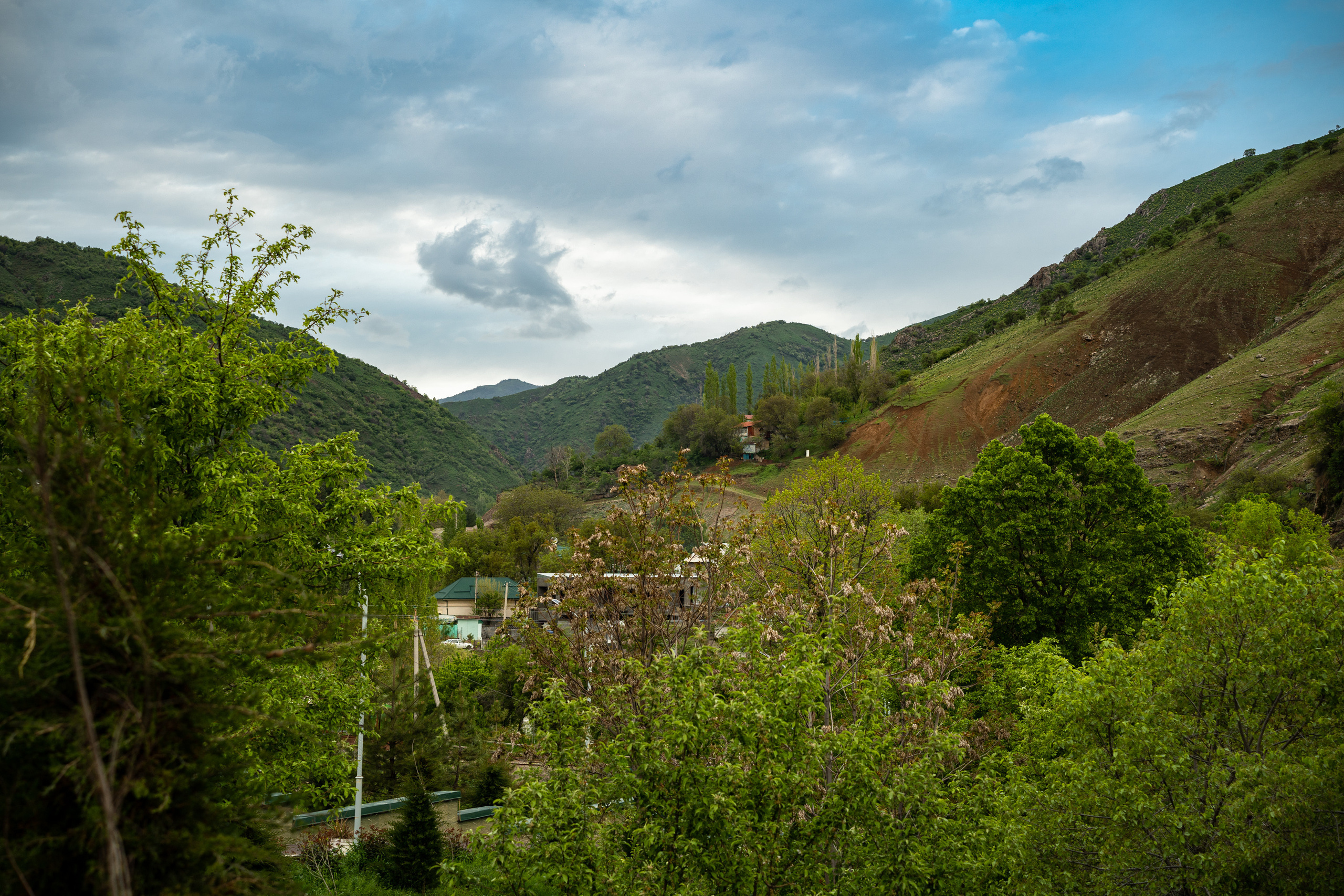 Sigma 50 mm F/1.4 DG DN Art. Фотограф Григорий Кравец