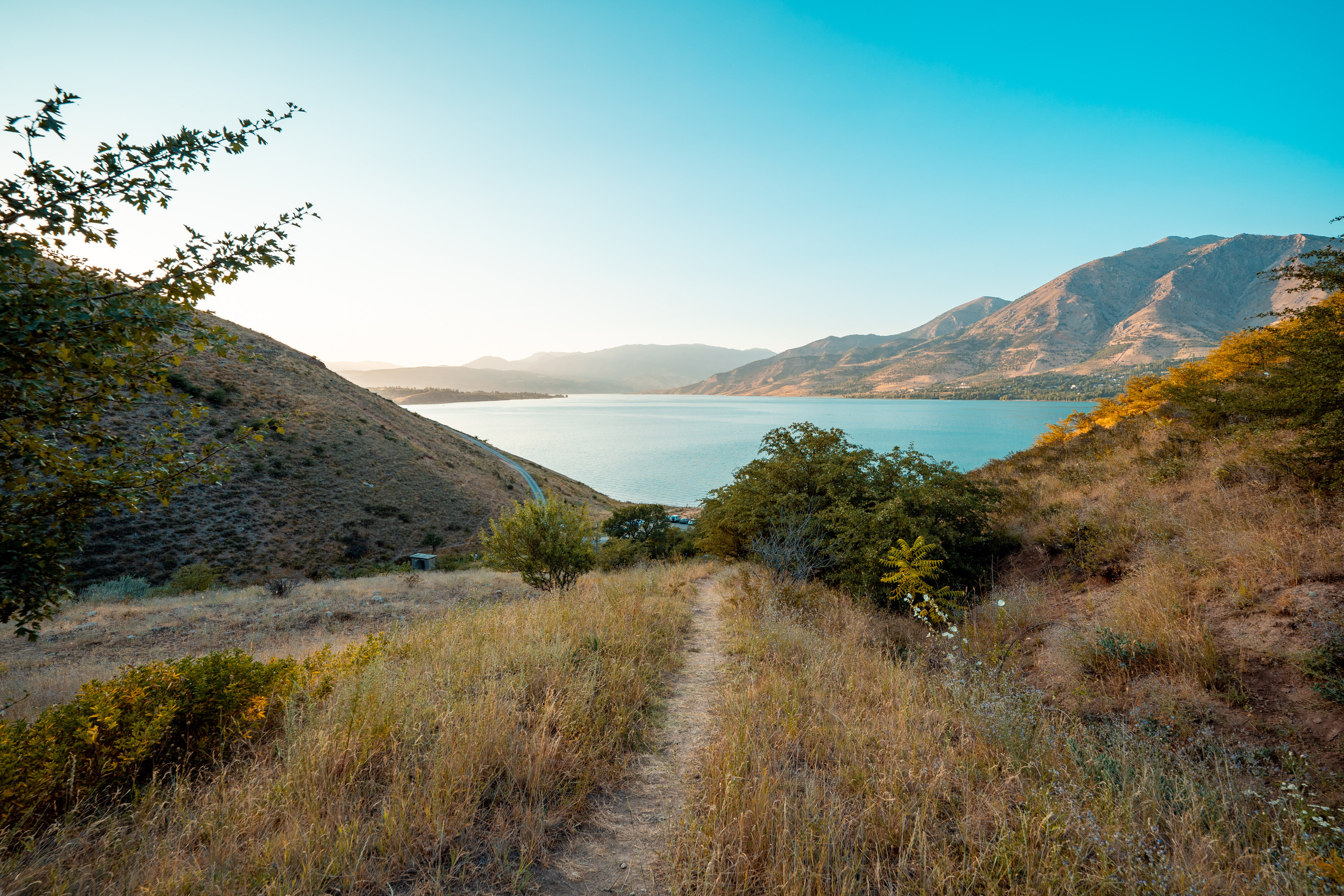 Sigma 14 mm F1.4 DG DN Art. Фотограф Григорий Кравец