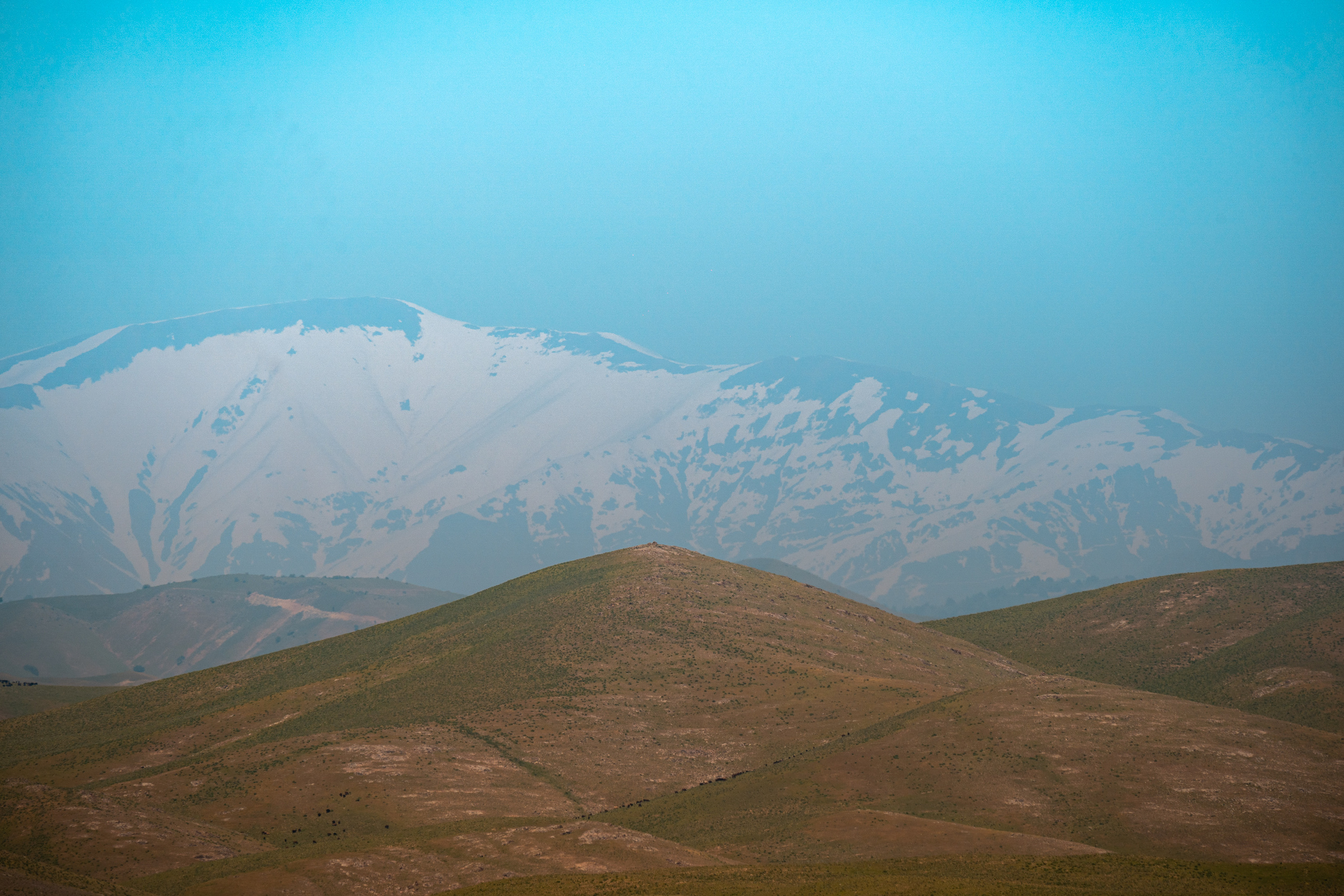 SIGMA 60-600mm — обзор. Фотограф Григорий Кравец