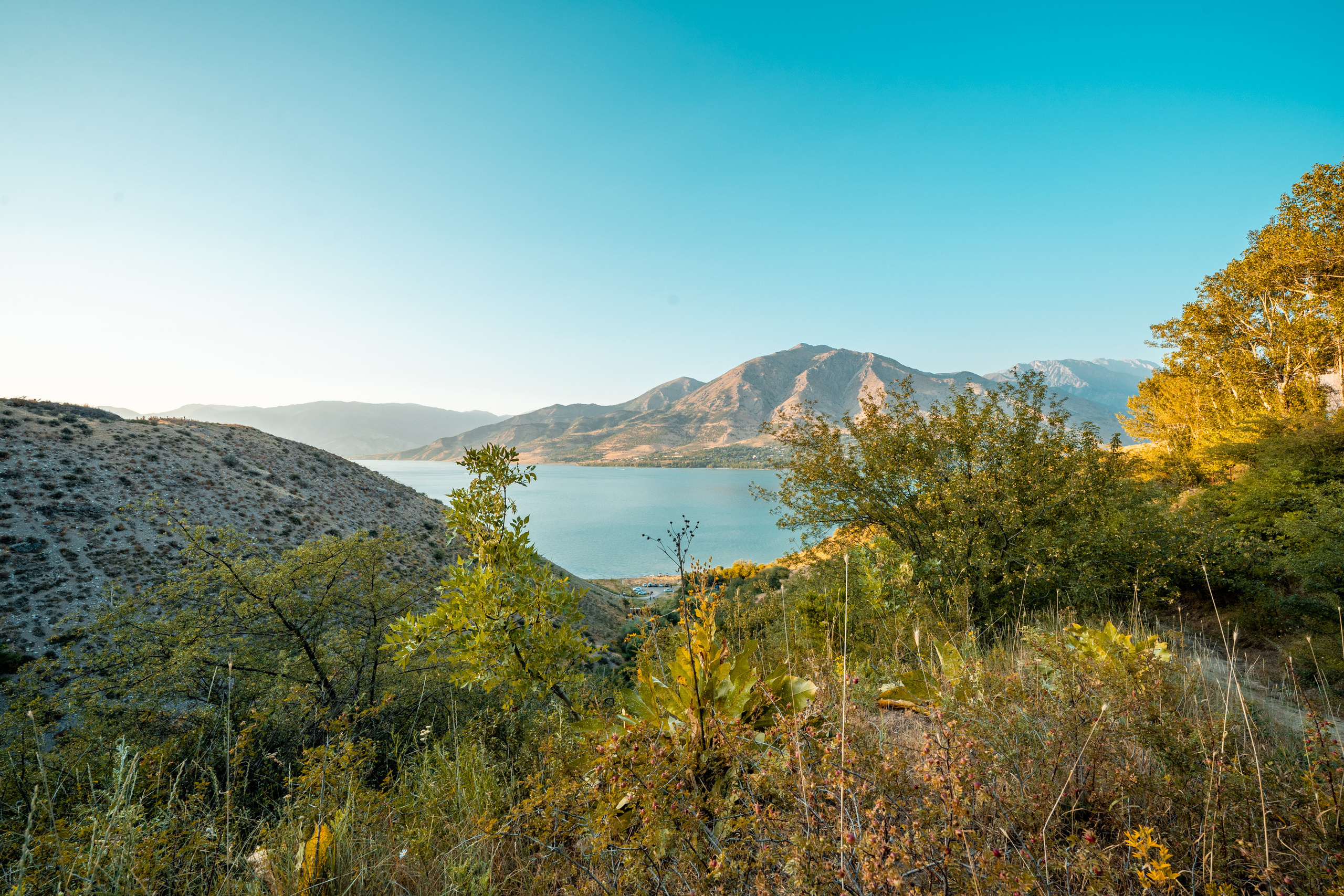 Sigma 14 mm F1.4 DG DN Art. Фотограф Григорий Кравец