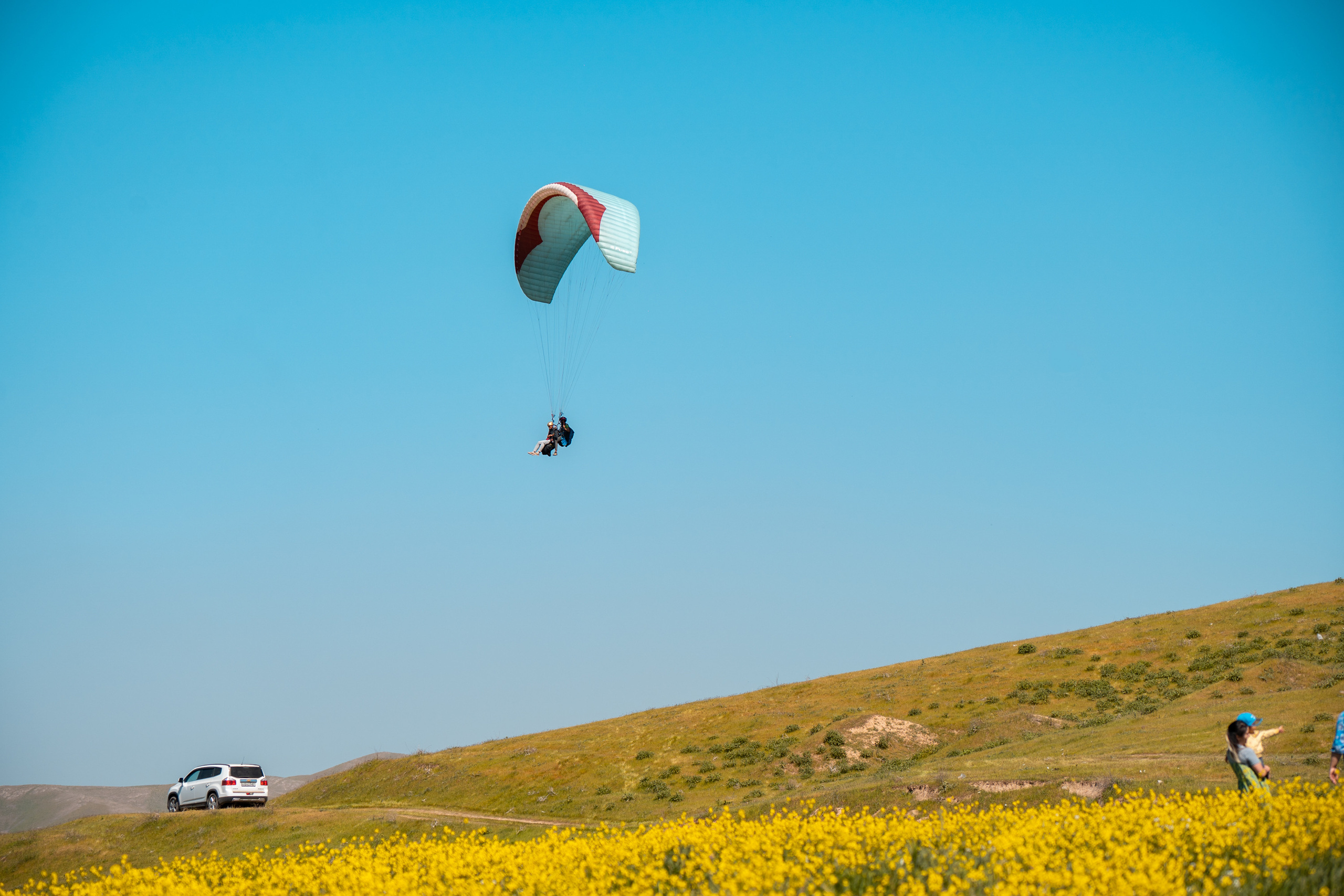 SIGMA 60-600mm — обзор. Фотограф Григорий Кравец