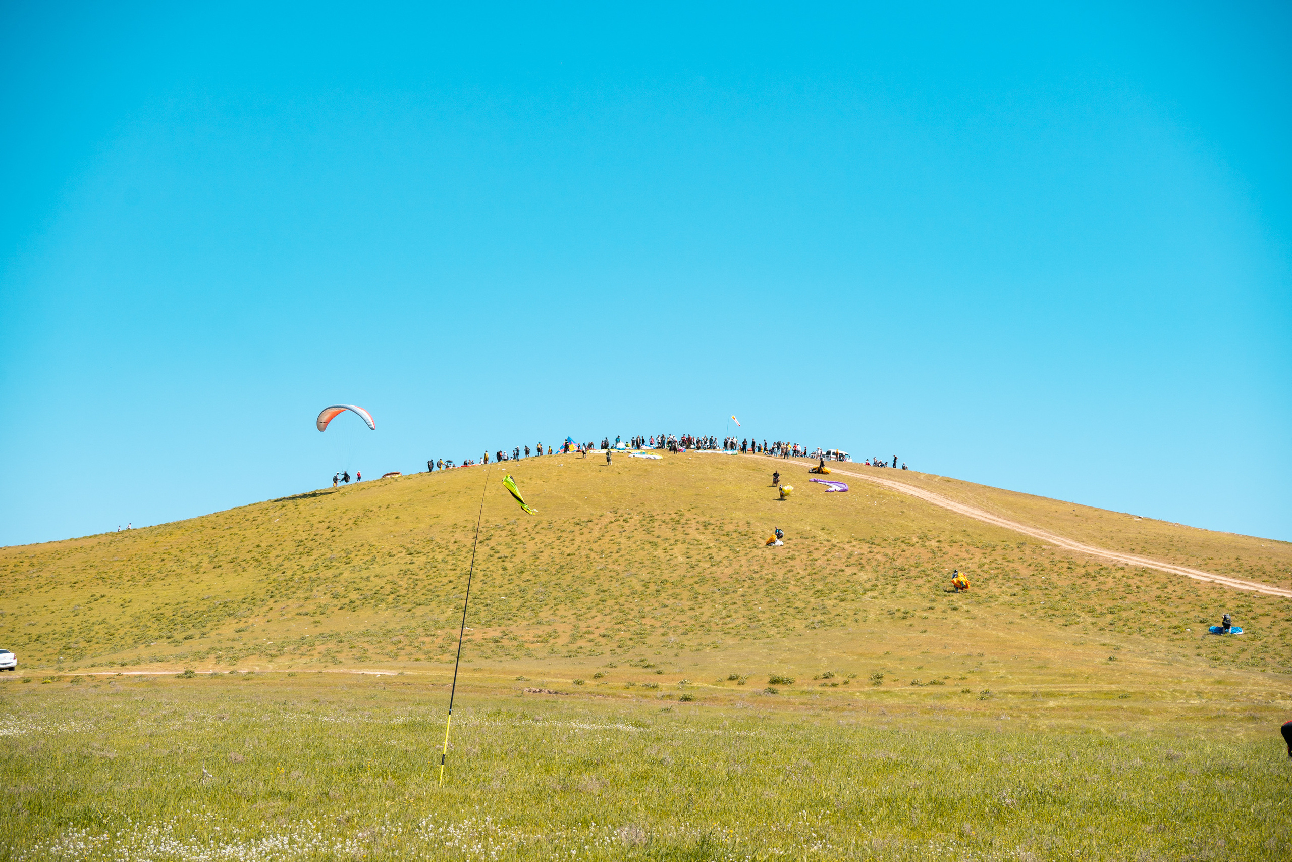 SIGMA 60-600mm — обзор. Фотограф Григорий Кравец