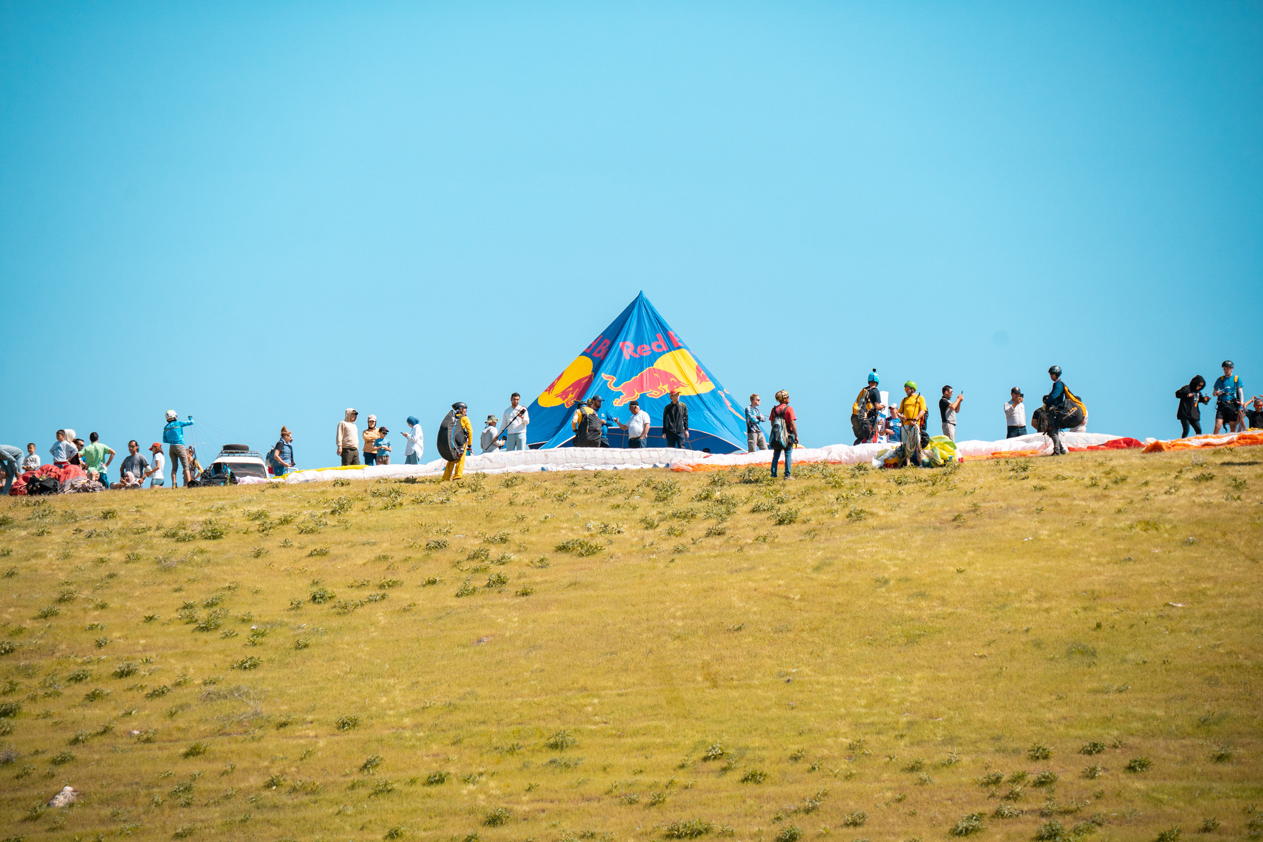 SIGMA 60-600mm — обзор. Фотограф Григорий Кравец