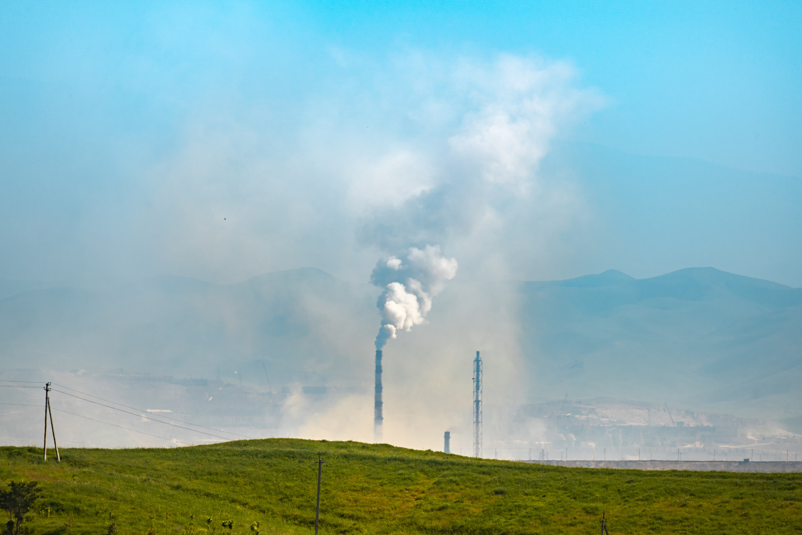 SIGMA 60-600mm — обзор. Фотограф Григорий Кравец