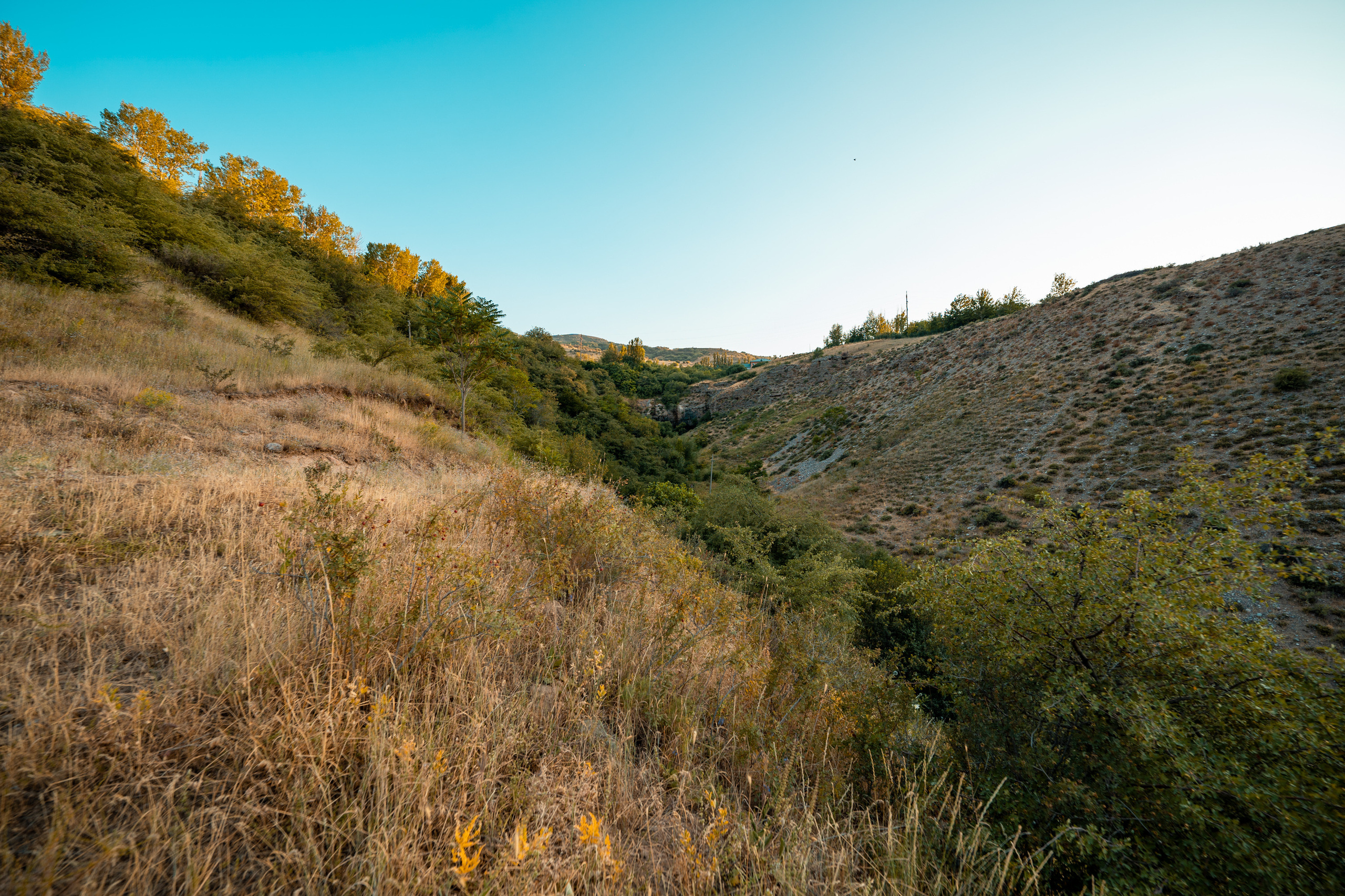 Sigma 14 mm F1.4 DG DN Art. Фотограф Григорий Кравец