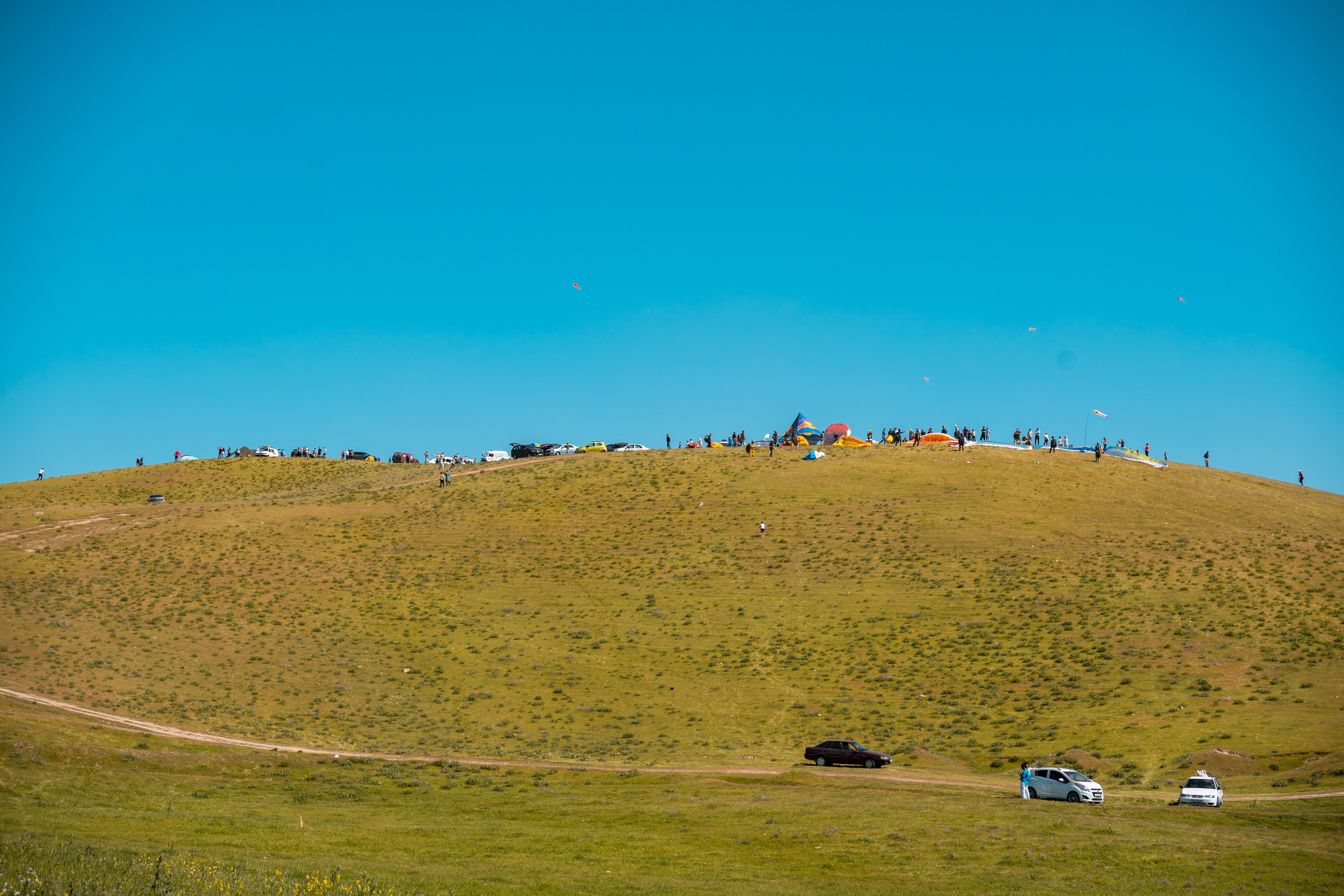 SIGMA 60-600mm — обзор. Фотограф Григорий Кравец