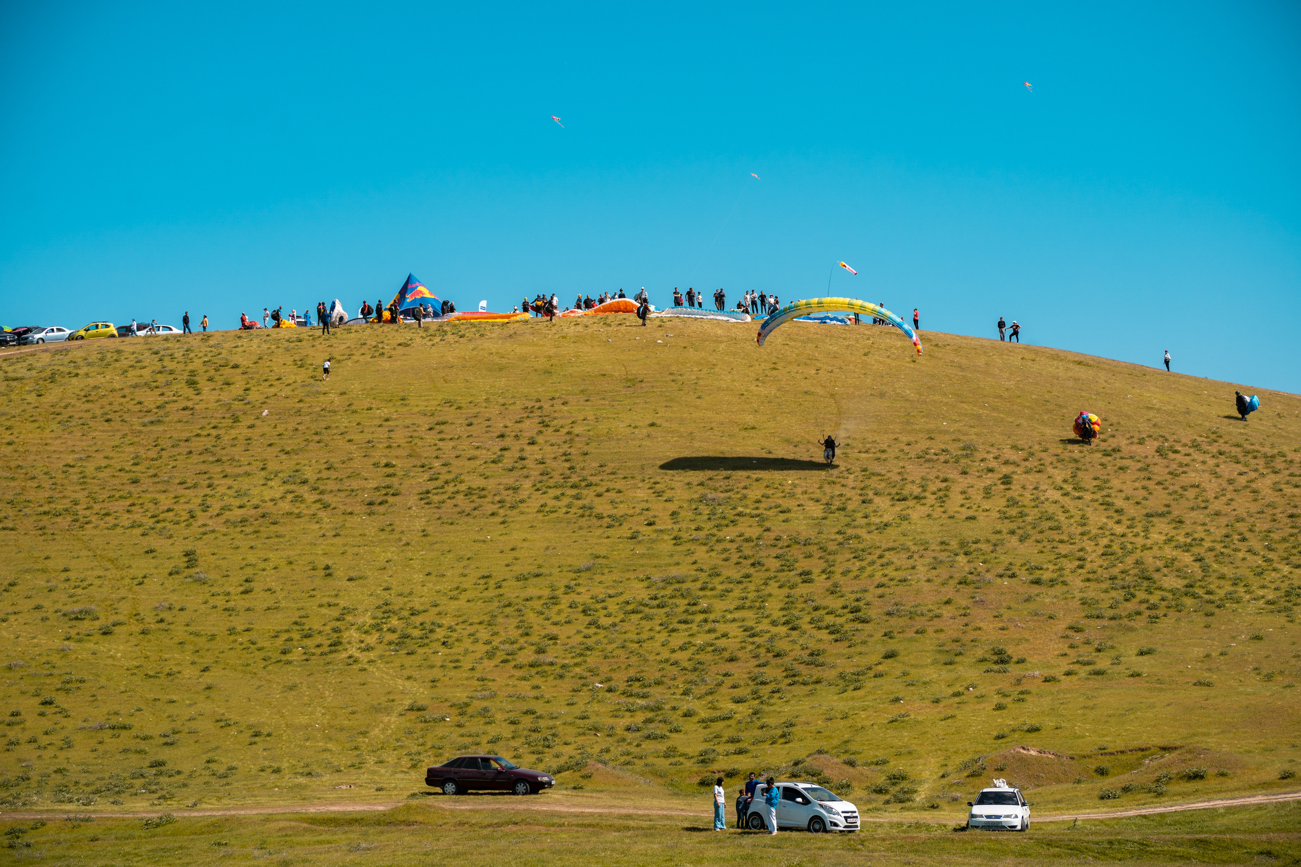 SIGMA 60-600mm — обзор. Фотограф Григорий Кравец