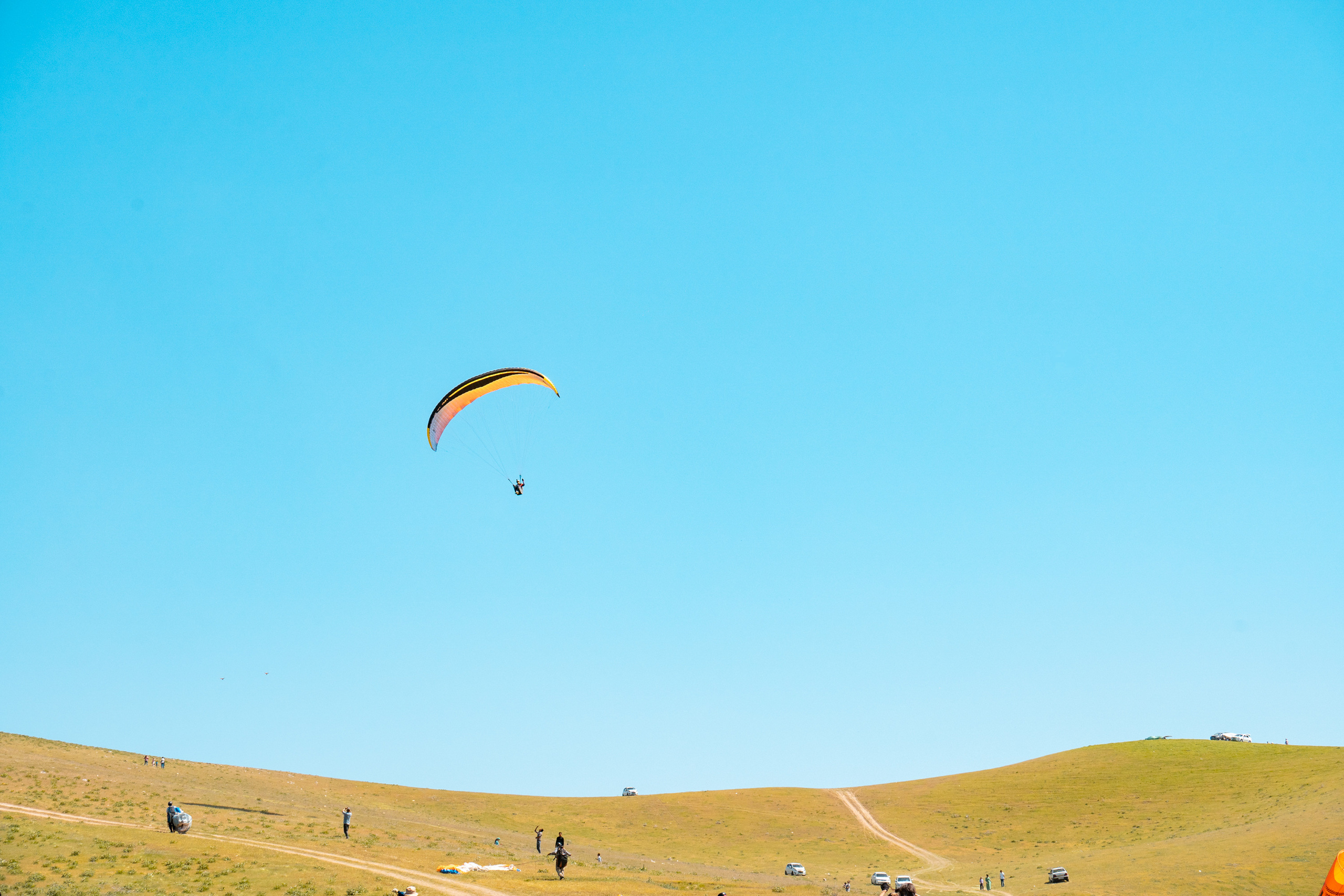 SIGMA 60-600mm — обзор. Фотограф Григорий Кравец