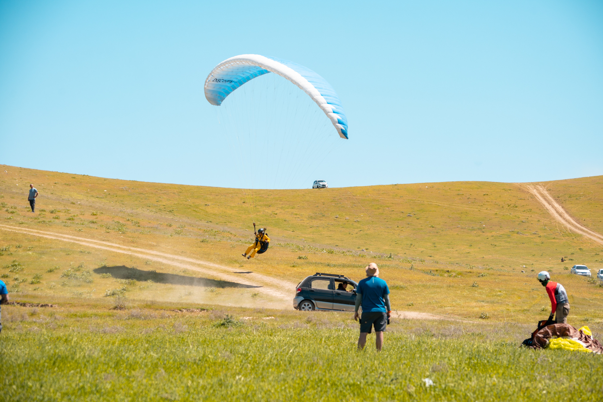 SIGMA 60-600mm — обзор. Фотограф Григорий Кравец