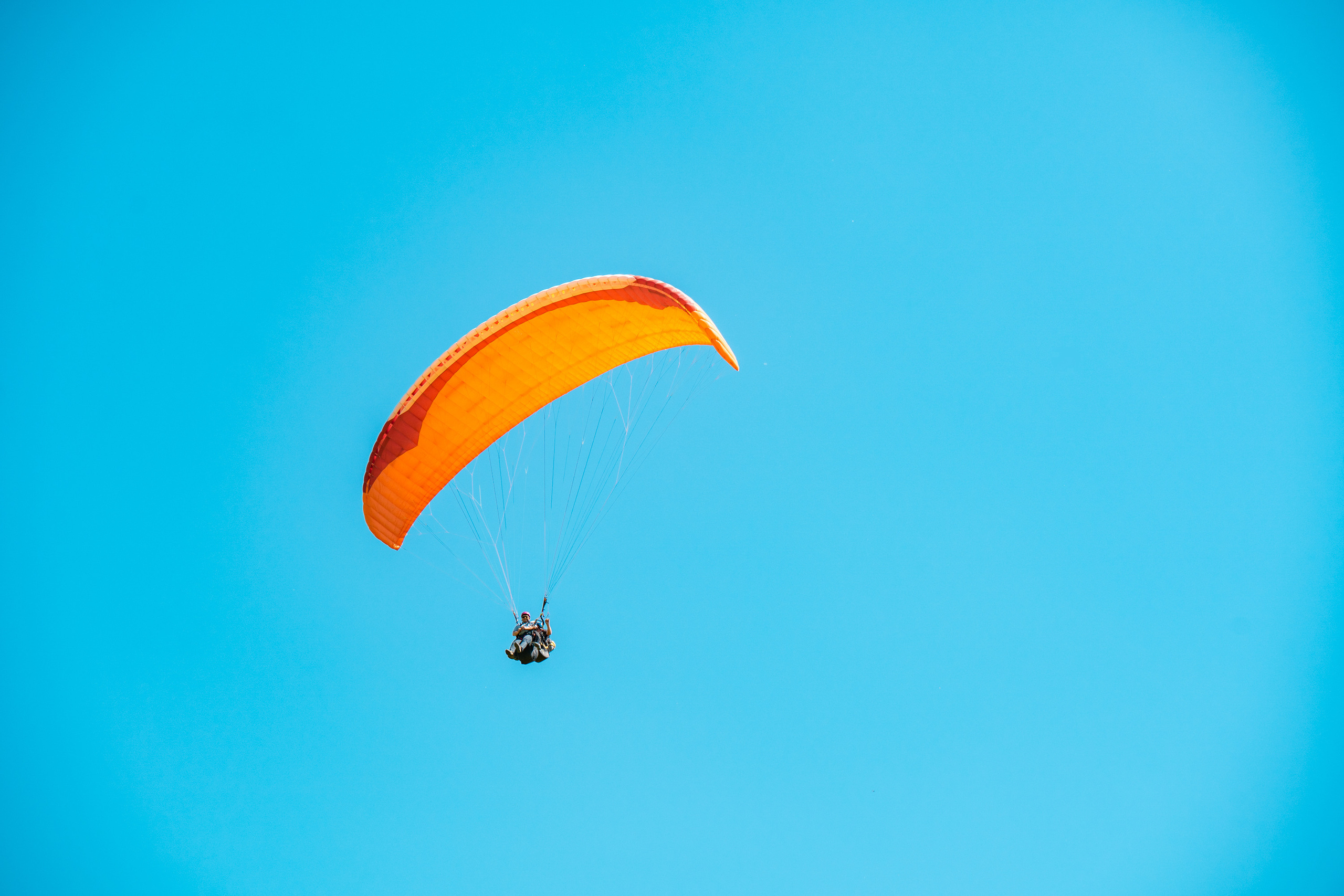 SIGMA 60-600mm — обзор. Фотограф Григорий Кравец