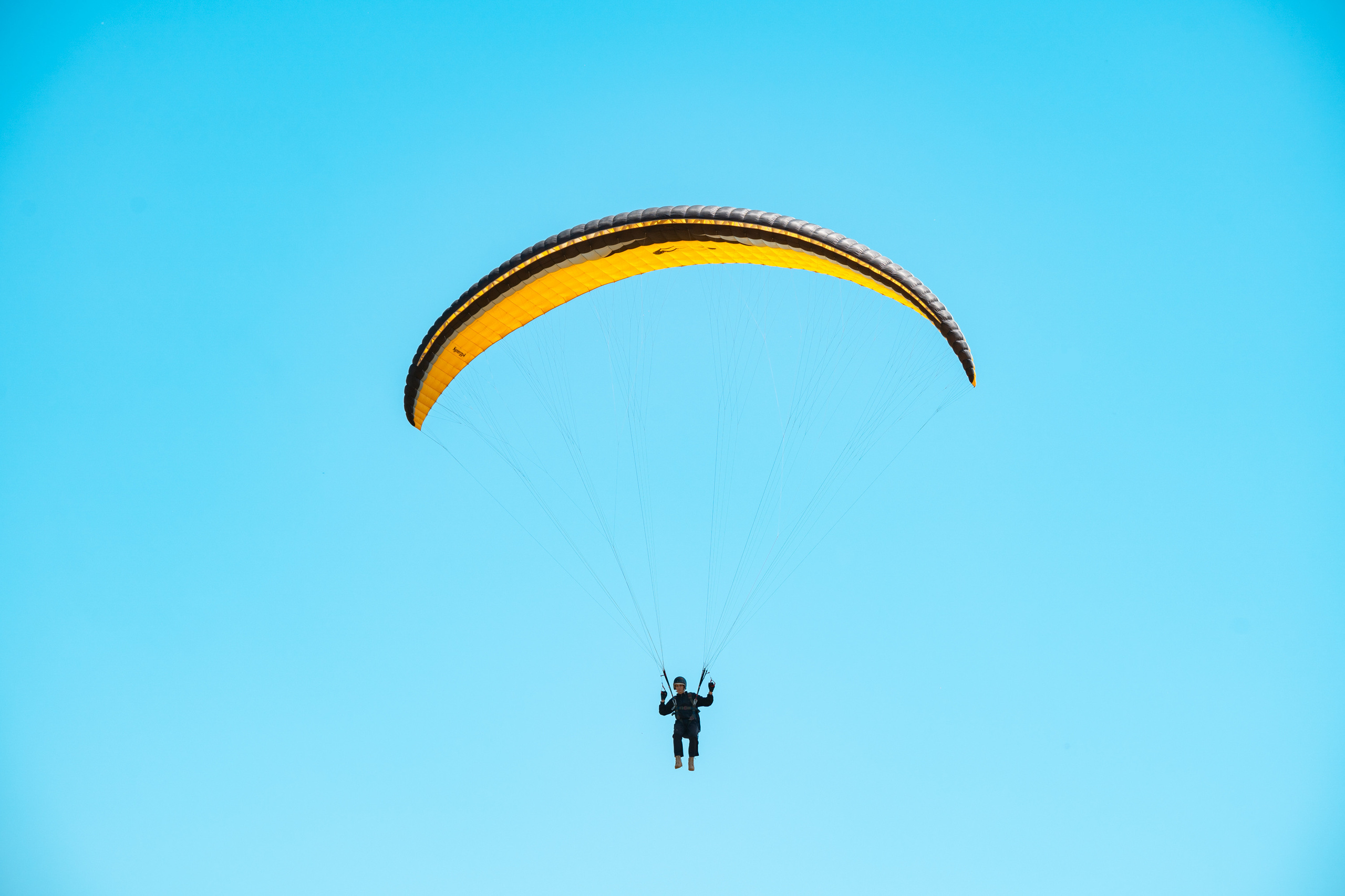 SIGMA 60-600mm — обзор. Фотограф Григорий Кравец