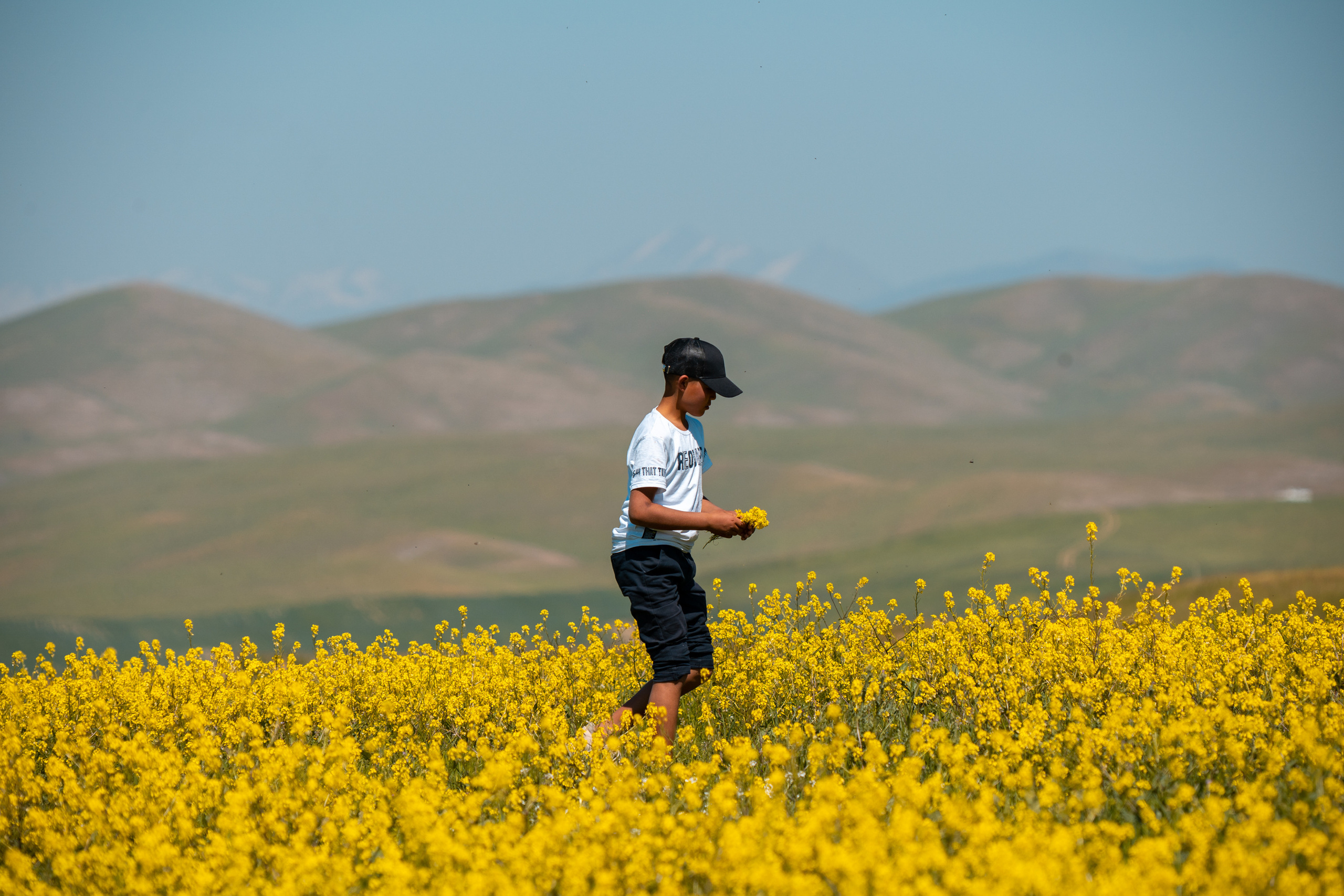 SIGMA 60-600mm — обзор. Фотограф Григорий Кравец