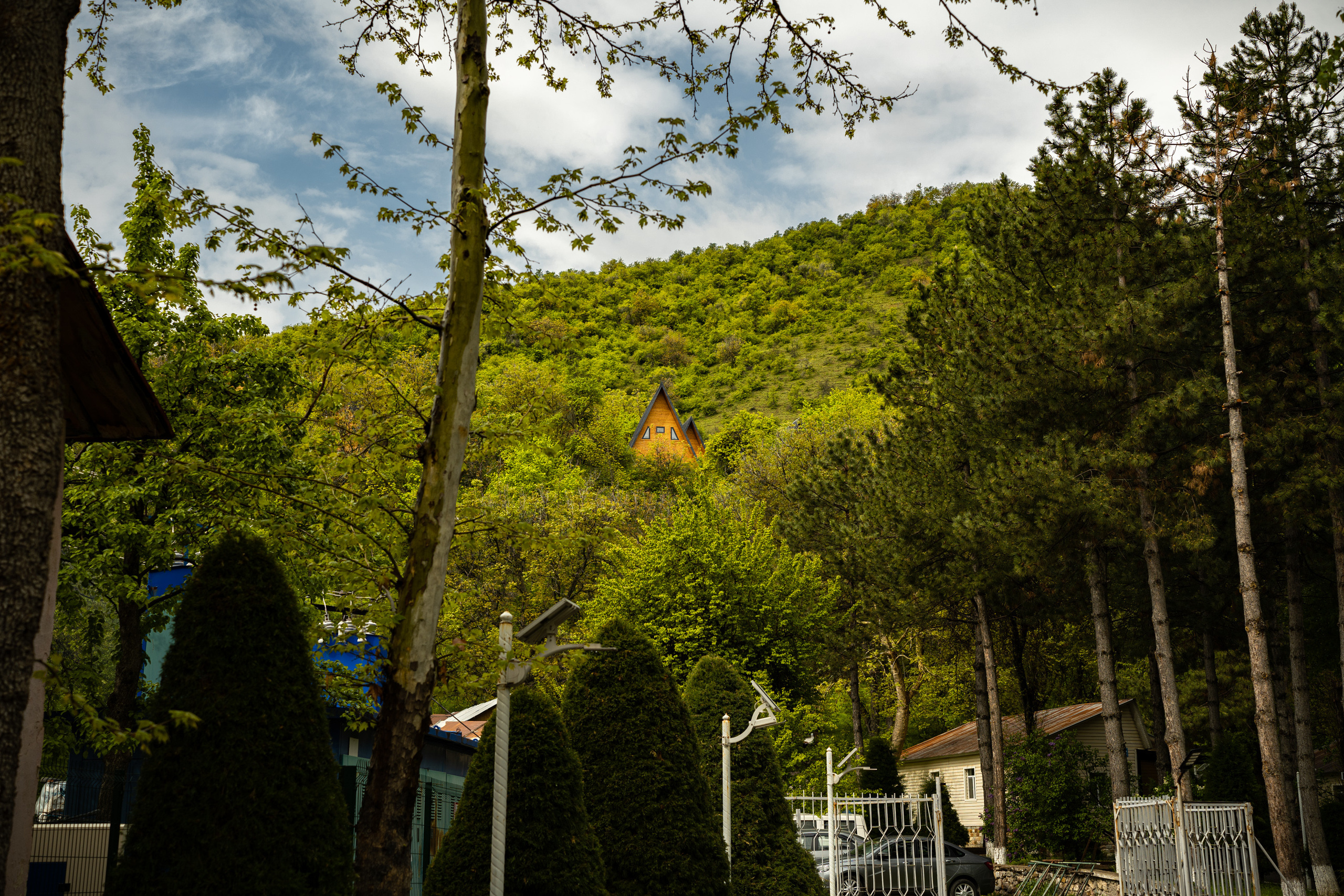 Sigma 50 mm F/1.4 DG DN Art. Фотограф Григорий Кравец