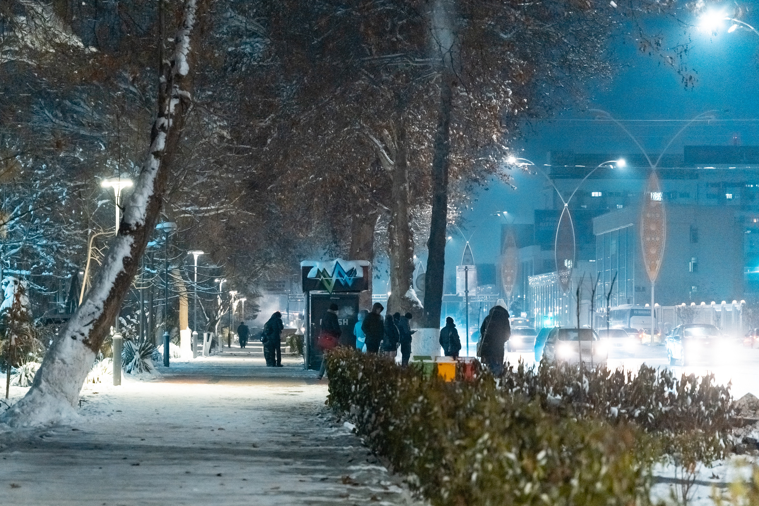 Sigma 24-70mm F2.8 DG DN Art (Sony E). Фотограф Григорий Кравец