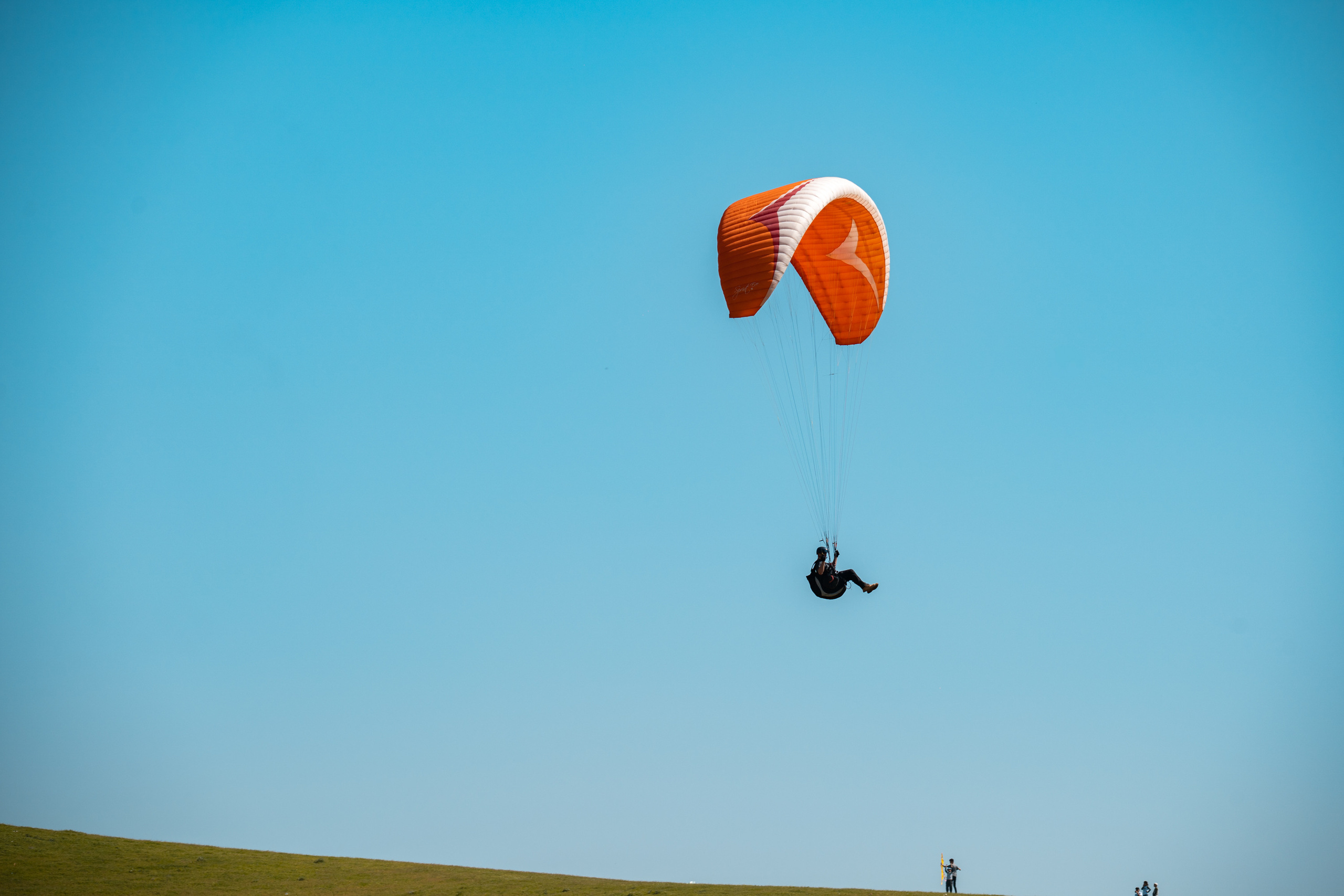 SIGMA 60-600mm — обзор. Фотограф Григорий Кравец