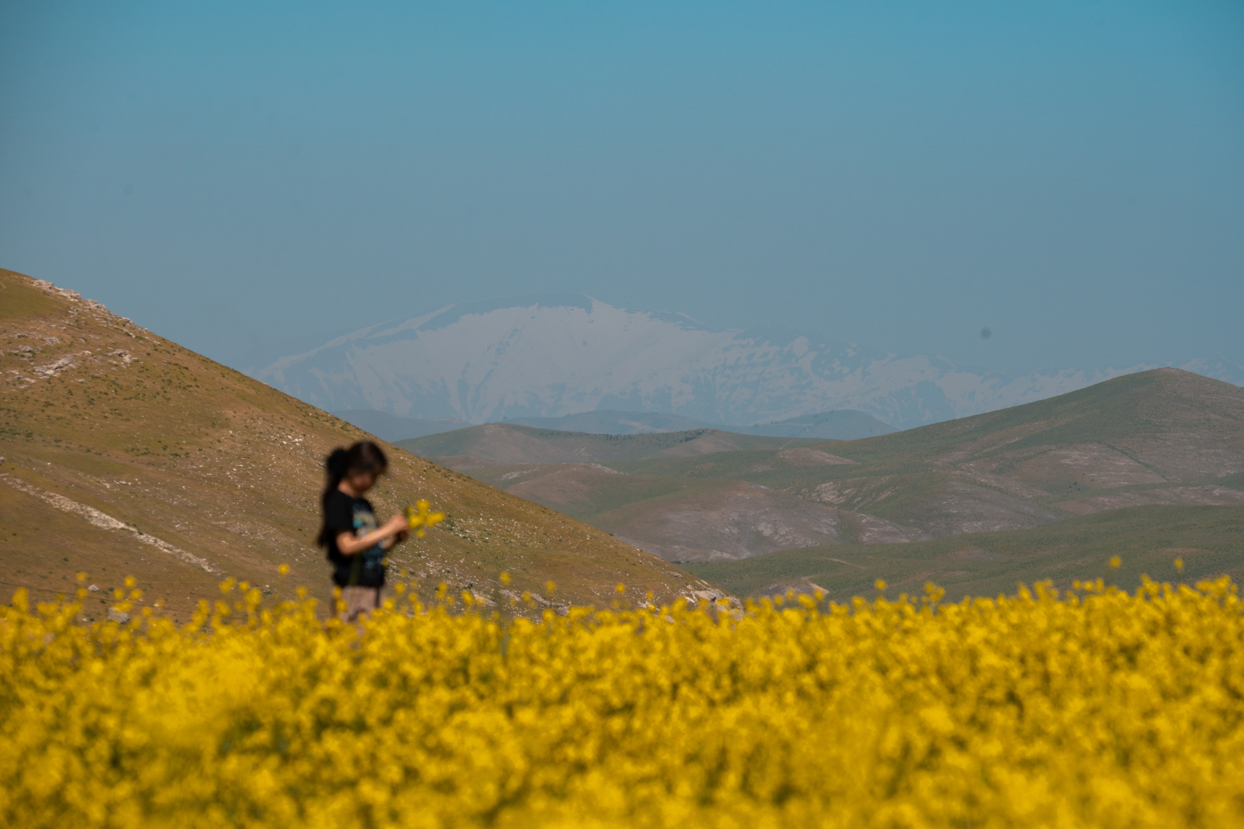 SIGMA 60-600mm — обзор. Фотограф Григорий Кравец