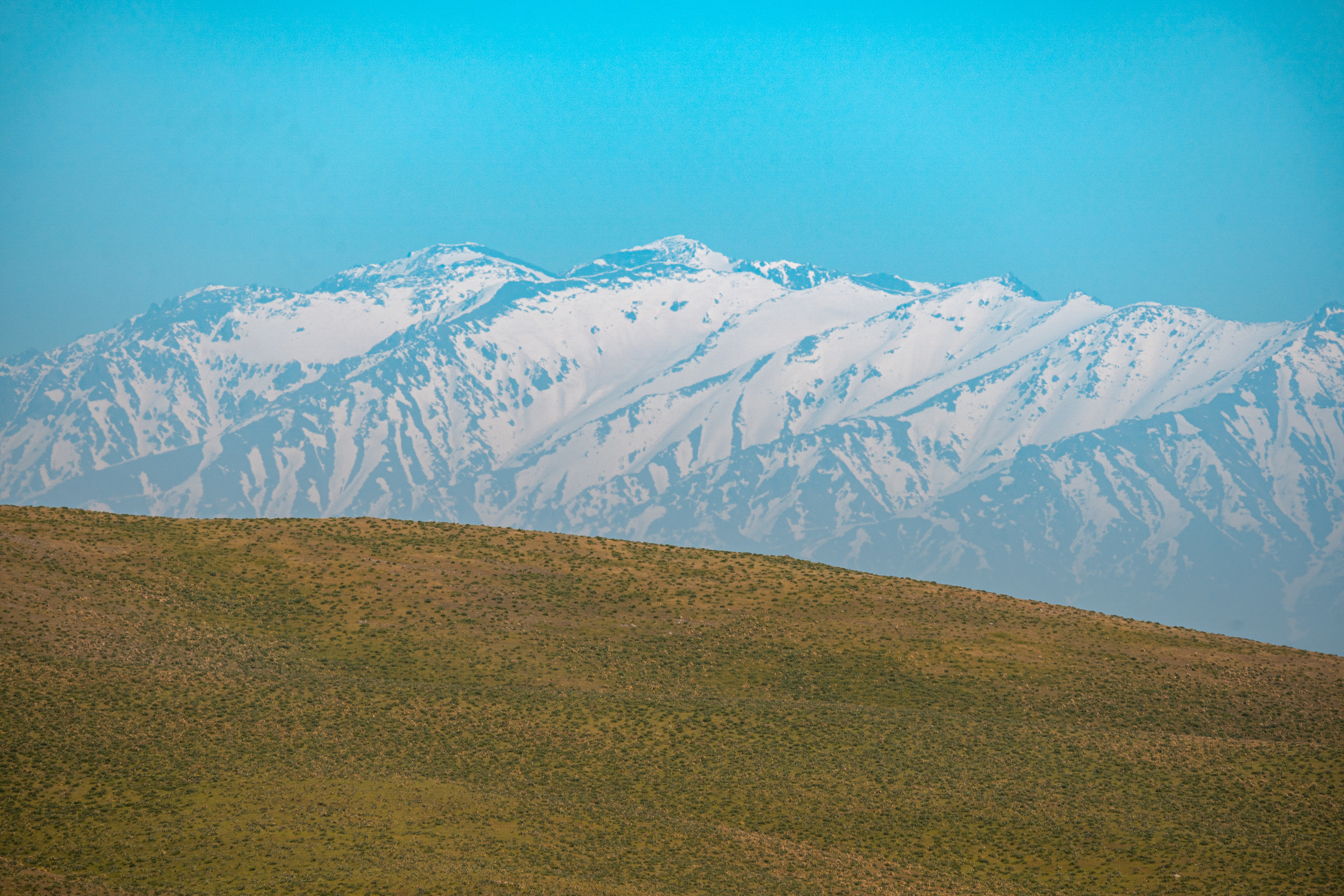 SIGMA 60-600mm — обзор. Фотограф Григорий Кравец