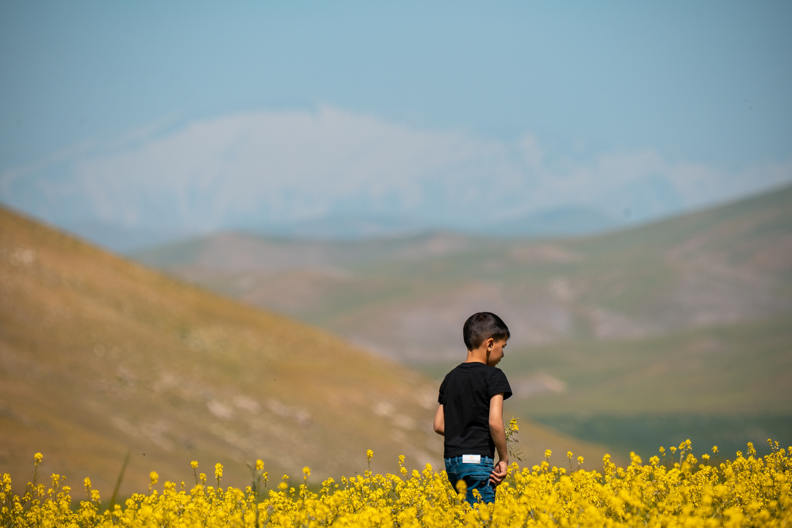 SIGMA 60-600mm — обзор. Фотограф Григорий Кравец