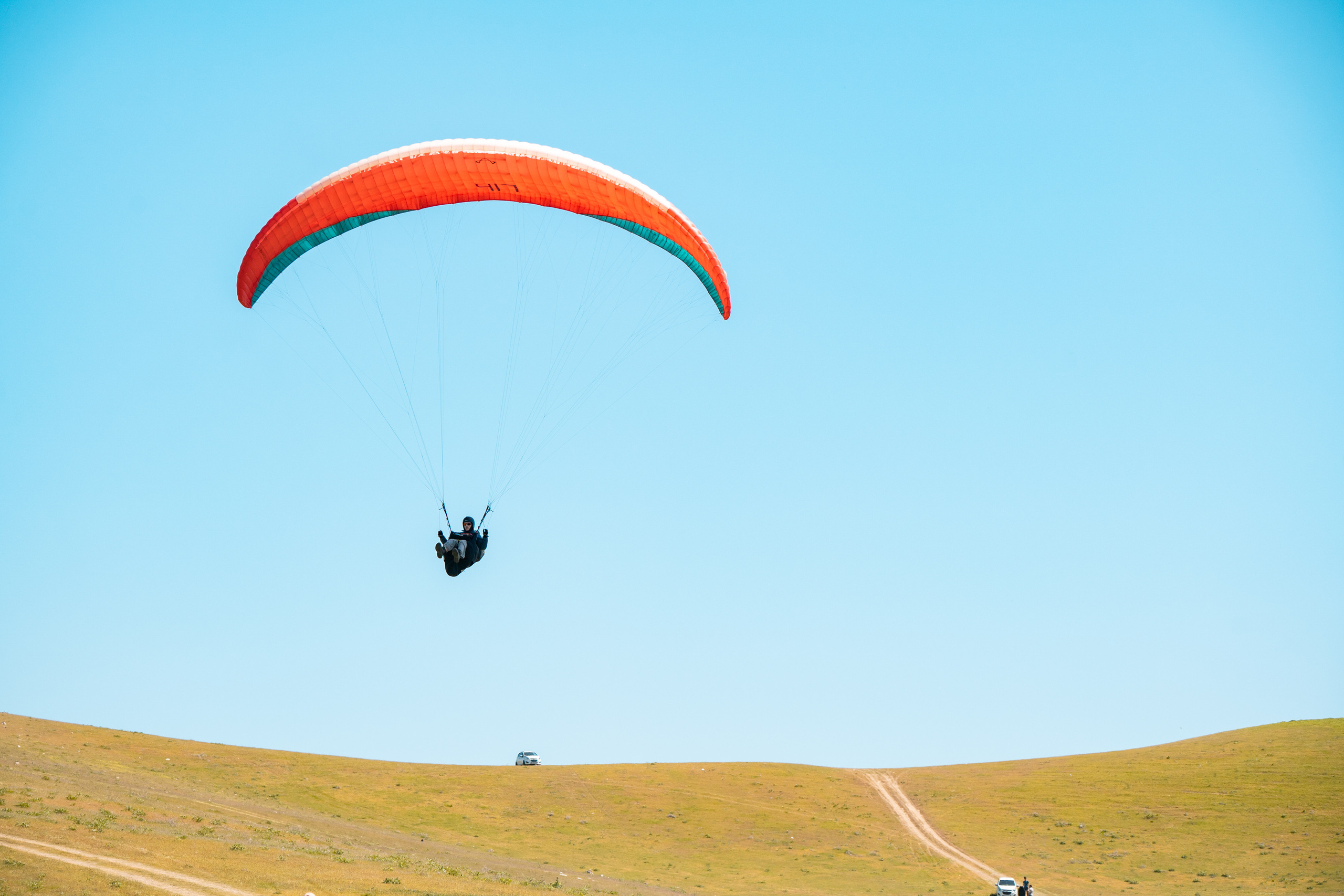 SIGMA 60-600mm — обзор. Фотограф Григорий Кравец