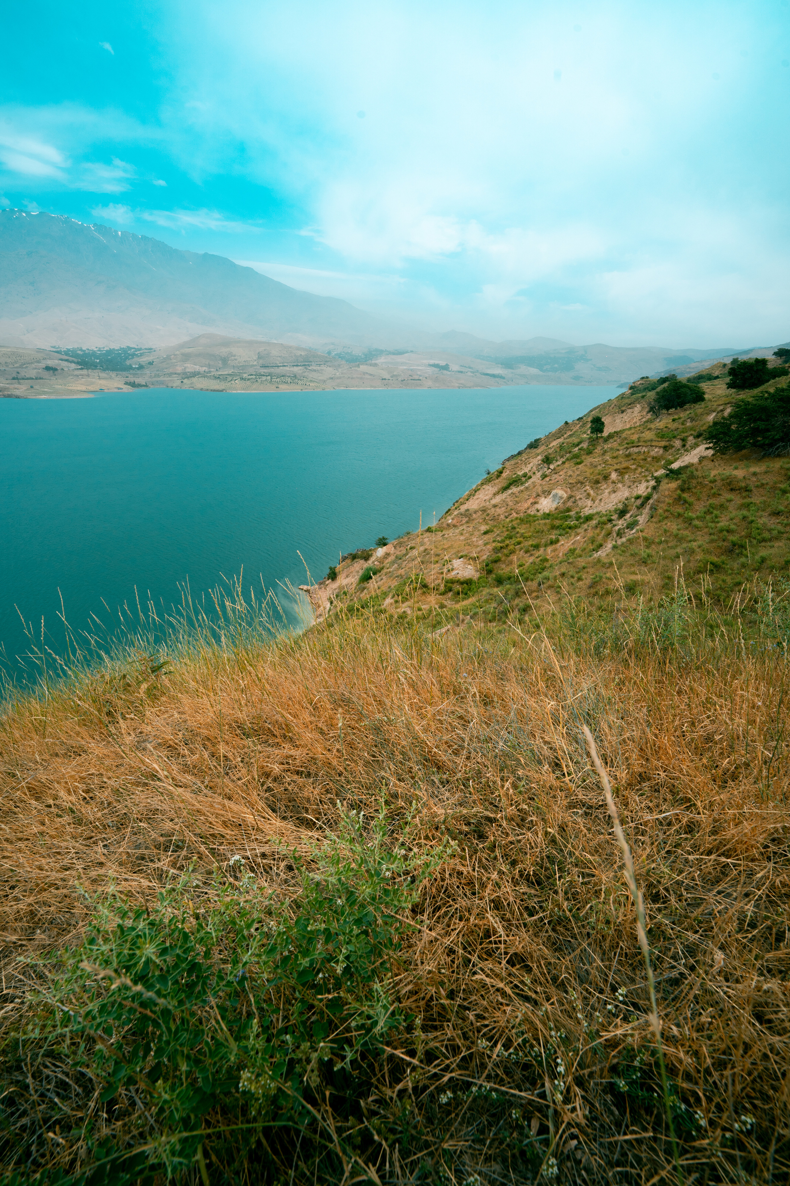 Sigma 14 mm F1.4 DG DN Art. Фотограф Григорий Кравец