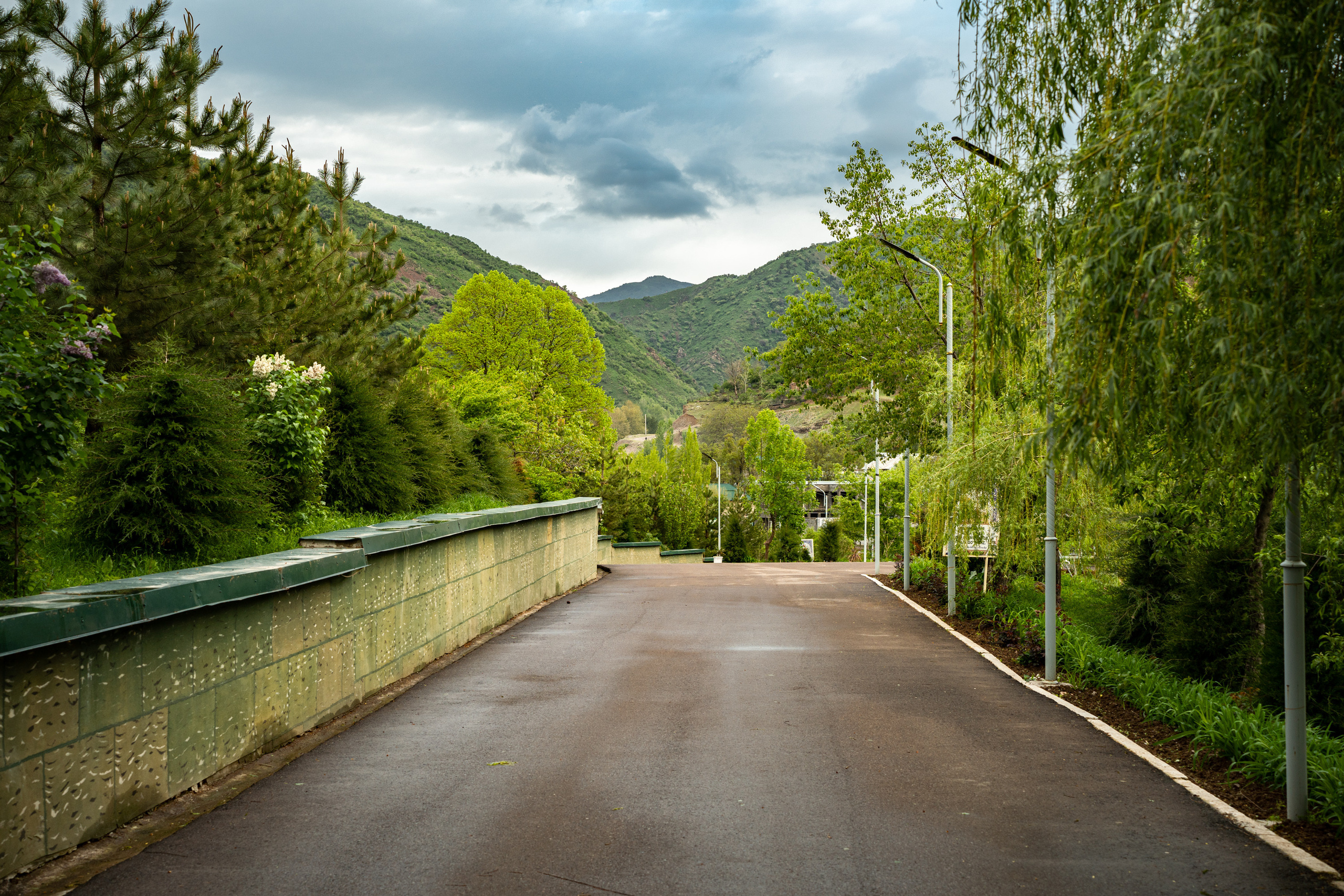 Sigma 50 mm F/1.4 DG DN Art. Фотограф Григорий Кравец