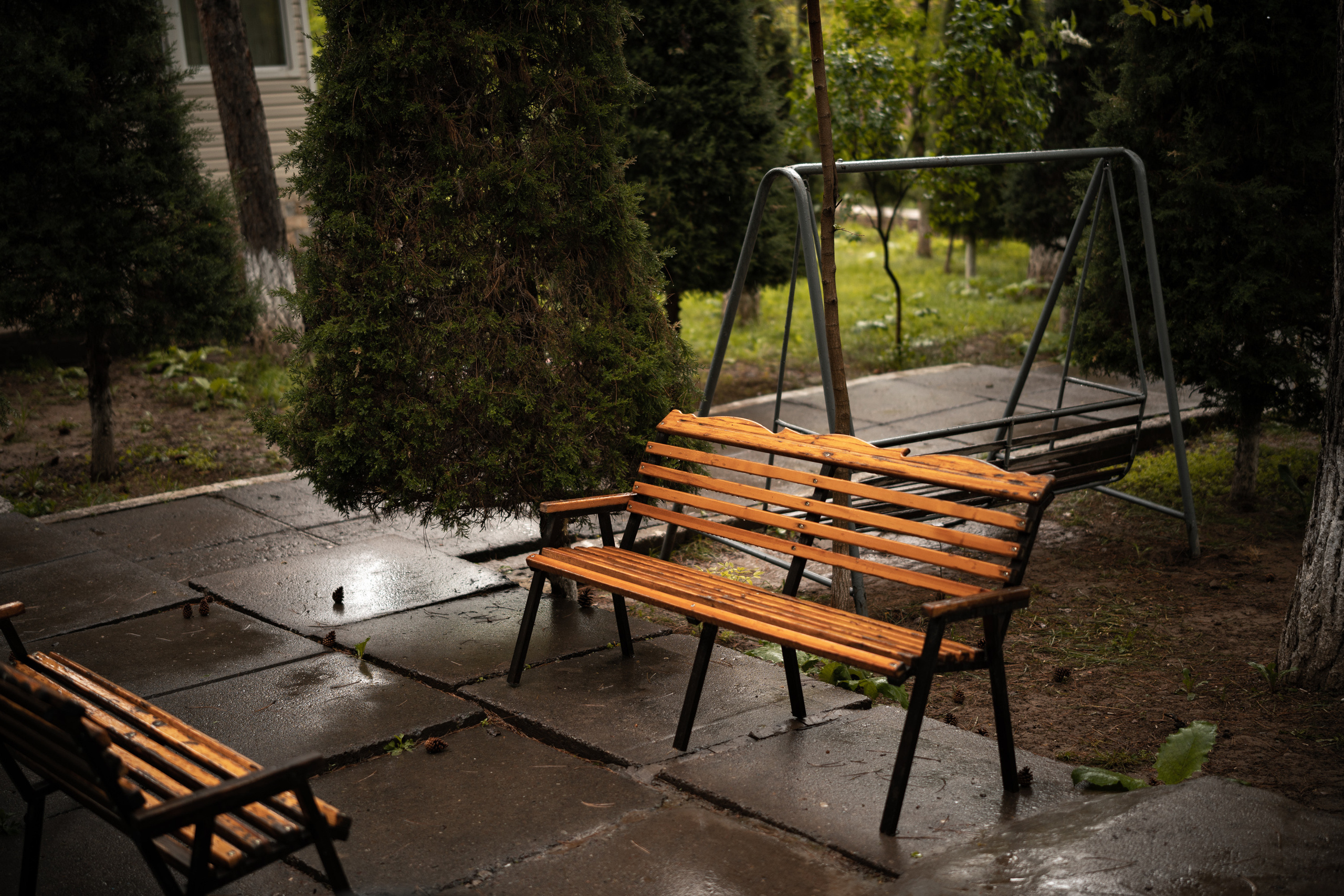 Sigma 50 mm F/1.4 DG DN Art. Фотограф Григорий Кравец