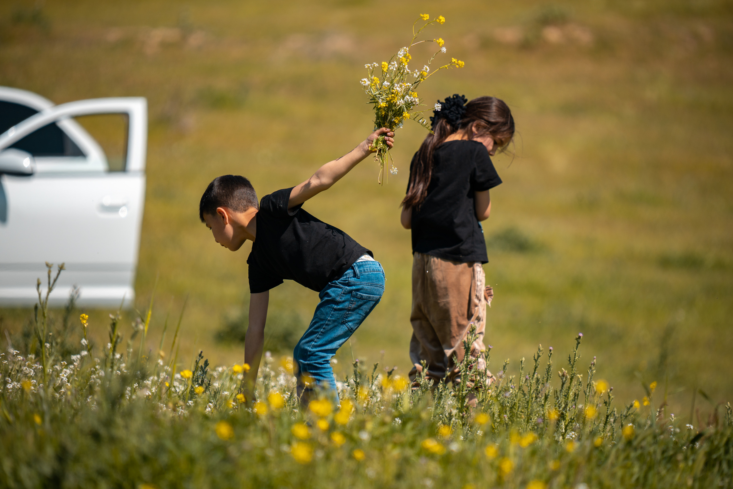 SIGMA 60-600mm — обзор. Фотограф Григорий Кравец