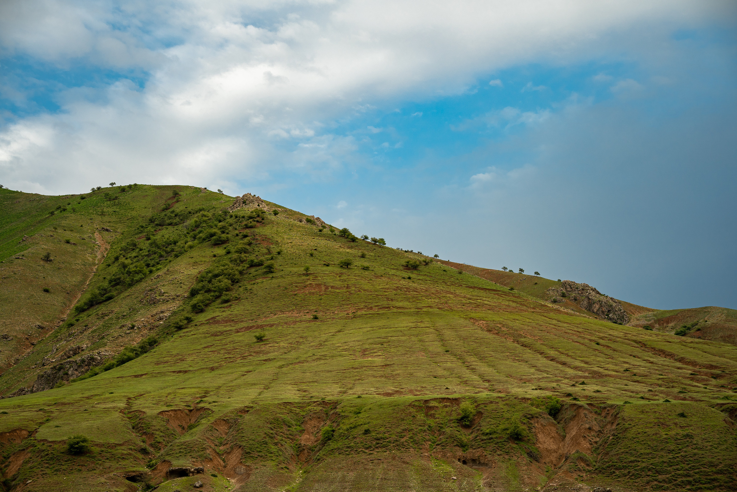 Sigma 50 mm F/1.4 DG DN Art. Фотограф Григорий Кравец