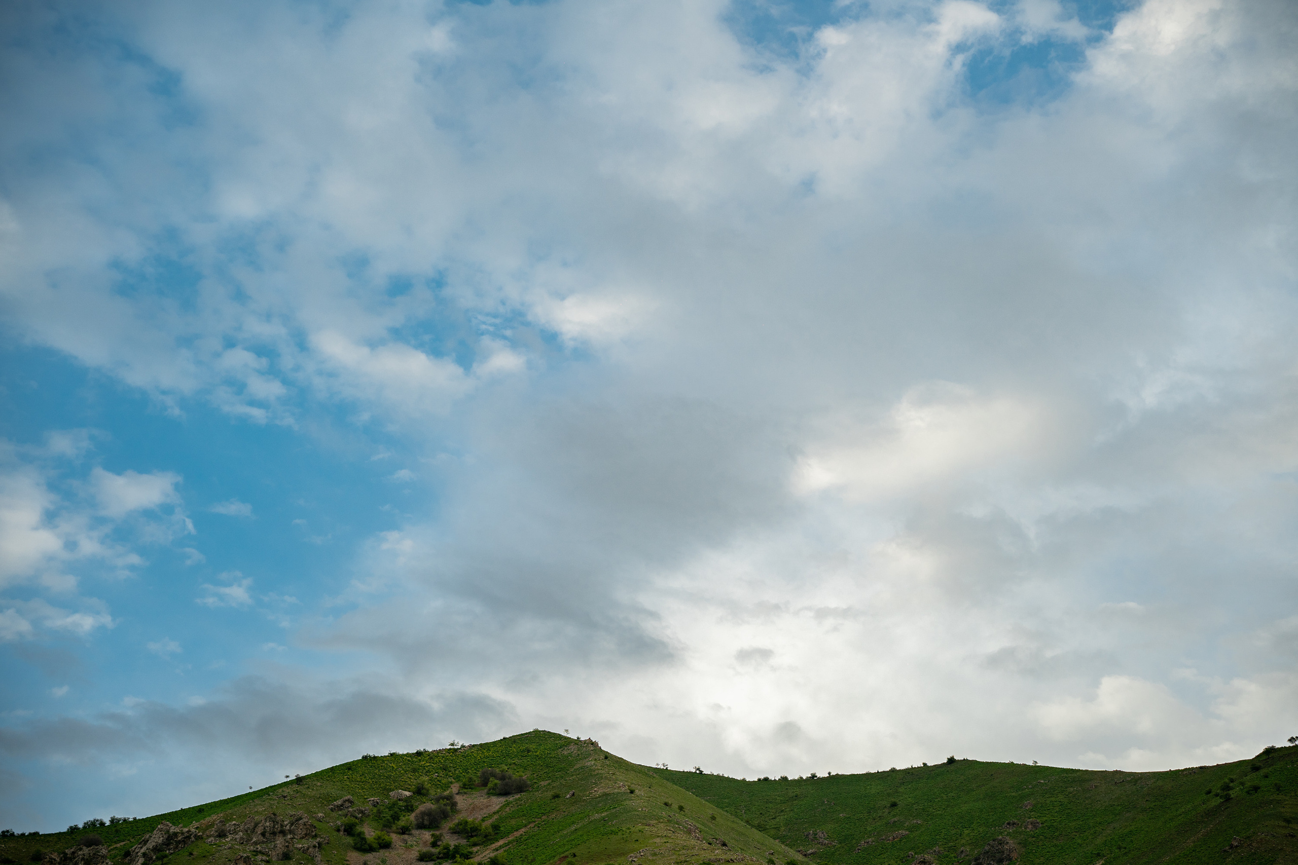 Sigma 50 mm F/1.4 DG DN Art. Фотограф Григорий Кравец