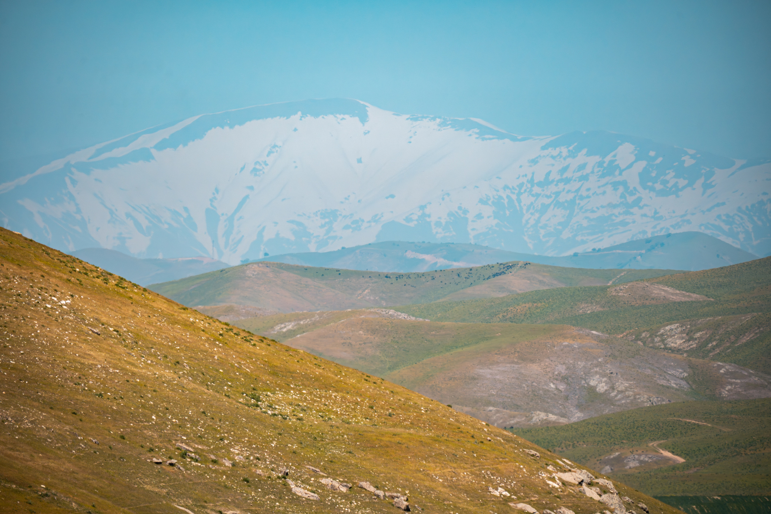 SIGMA 60-600mm — обзор. Фотограф Григорий Кравец