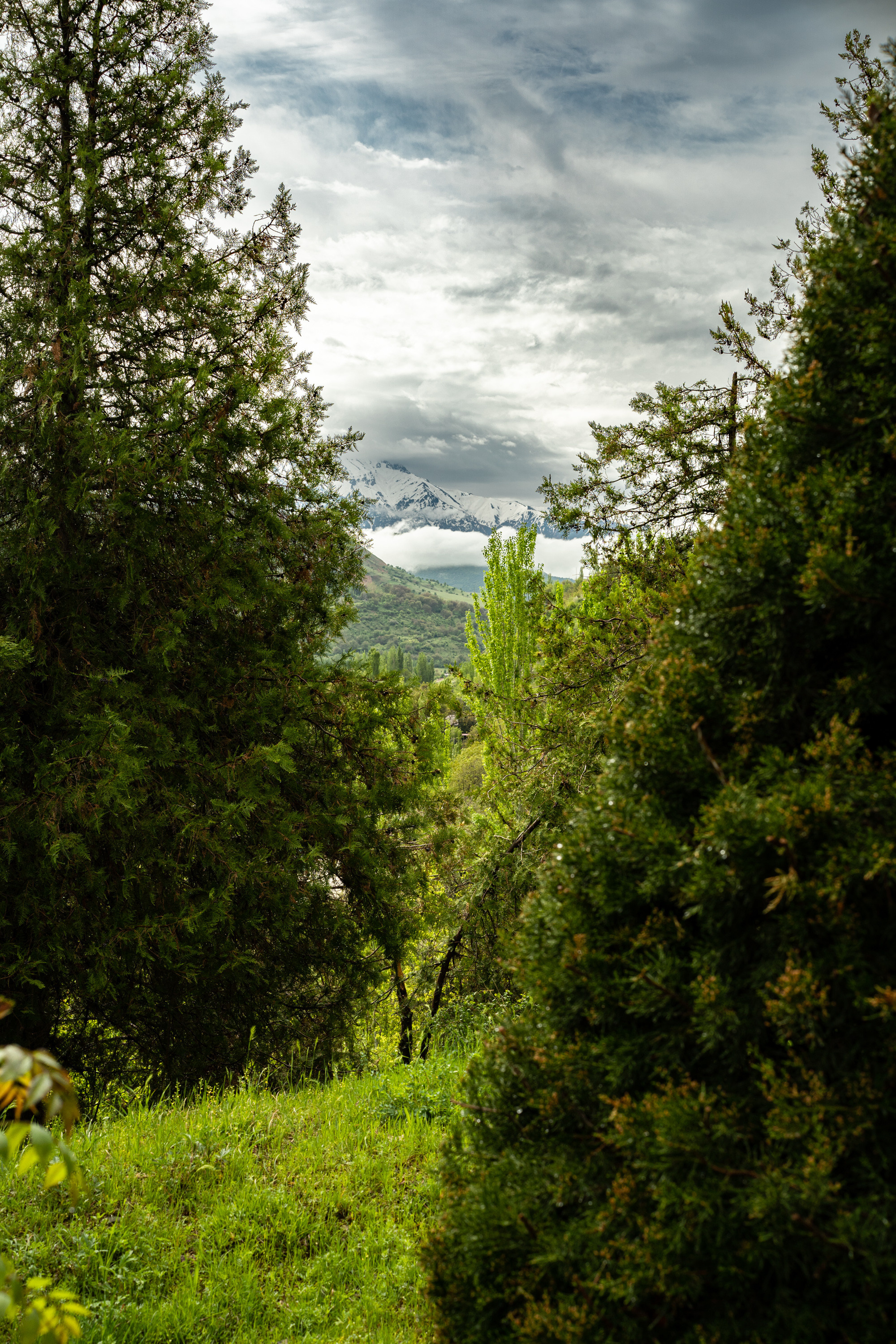 Sigma 50 mm F/1.4 DG DN Art. Фотограф Григорий Кравец