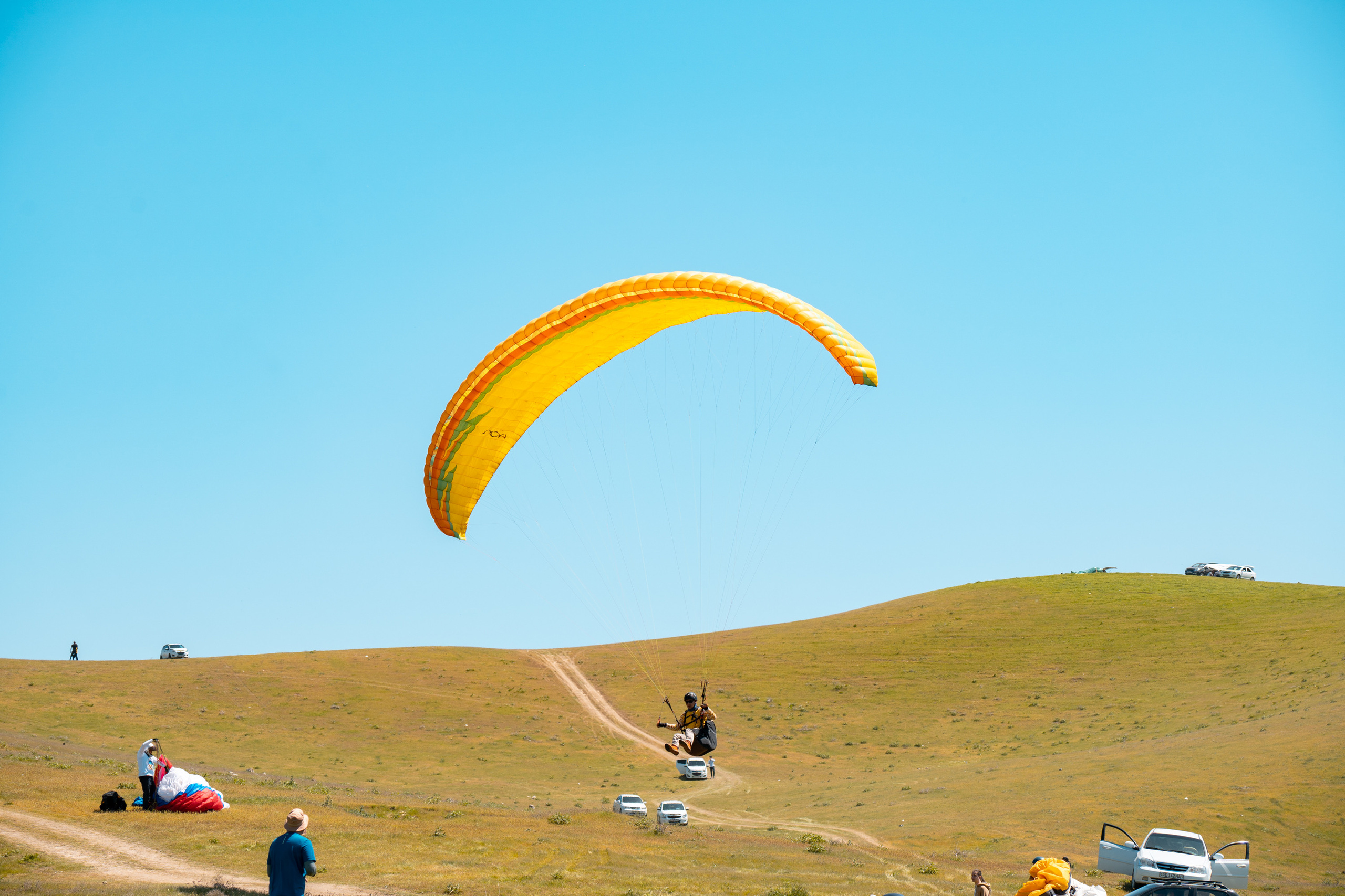 SIGMA 60-600mm — обзор. Фотограф Григорий Кравец