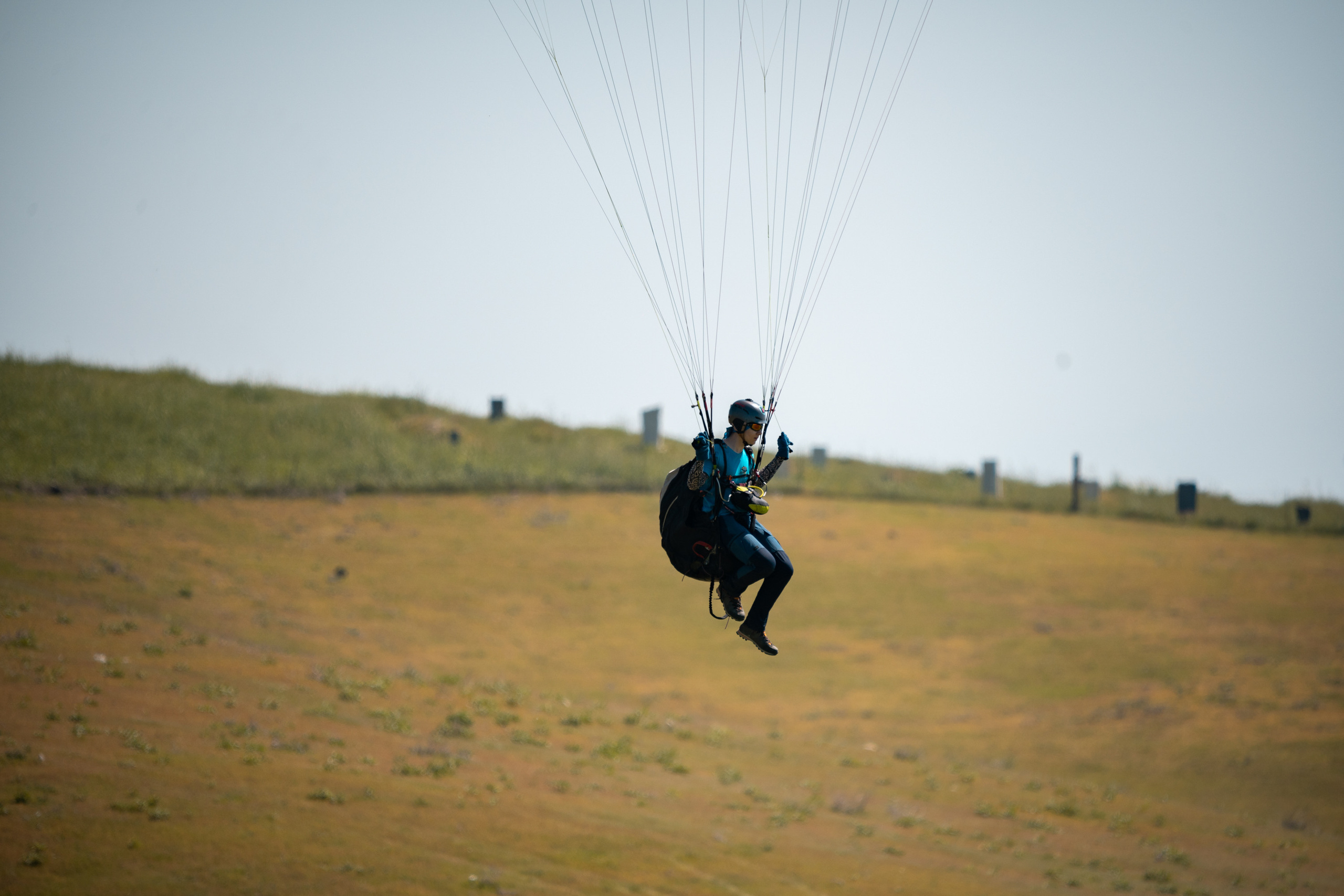 SIGMA 60-600mm — обзор. Фотограф Григорий Кравец