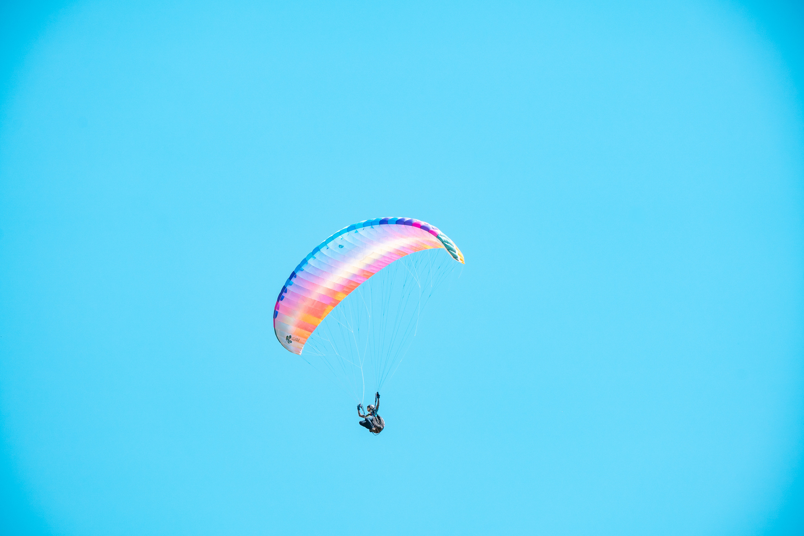 SIGMA 60-600mm — обзор. Фотограф Григорий Кравец