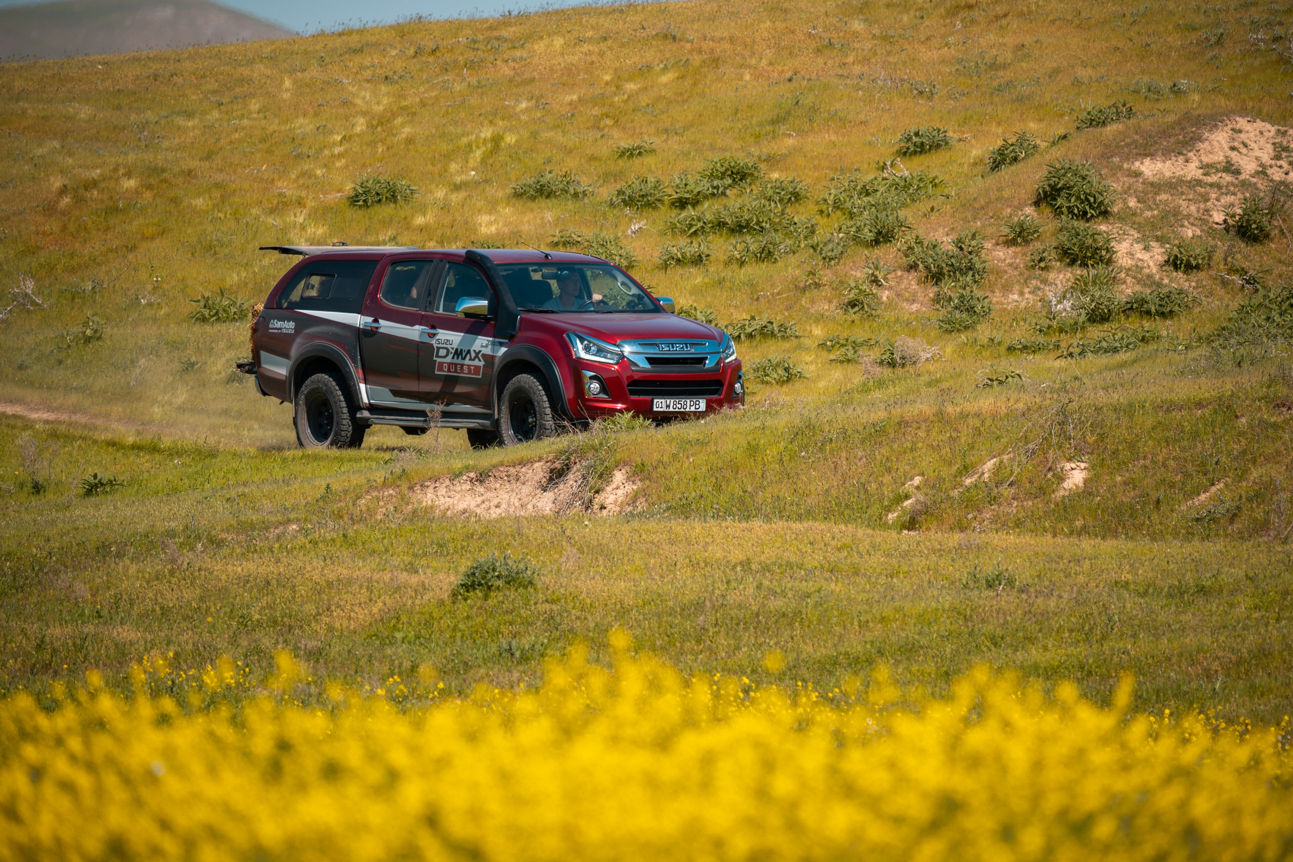 SIGMA 60-600mm — обзор. Фотограф Григорий Кравец