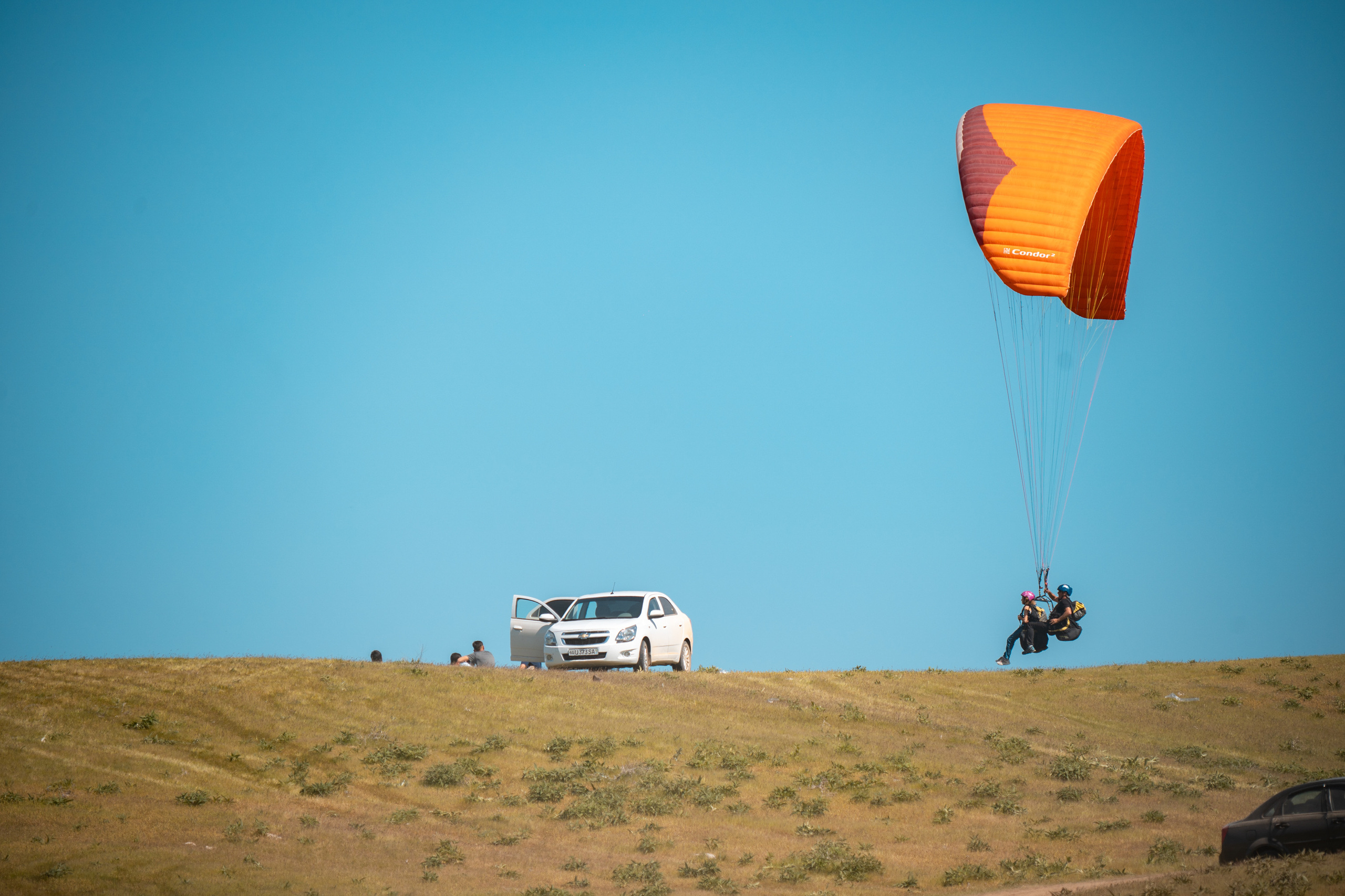 SIGMA 60-600mm — обзор. Фотограф Григорий Кравец